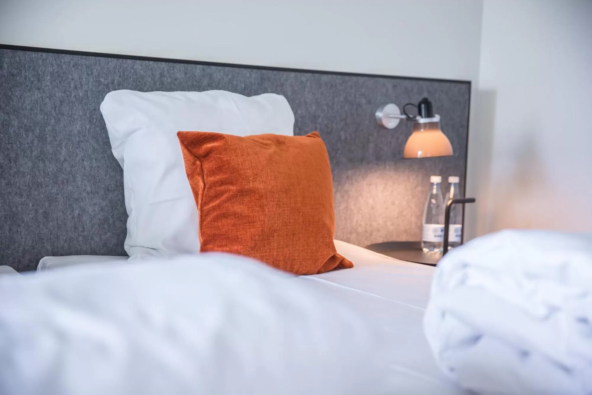 Superior Plus Double or Twin Room in Comwell Roskilde