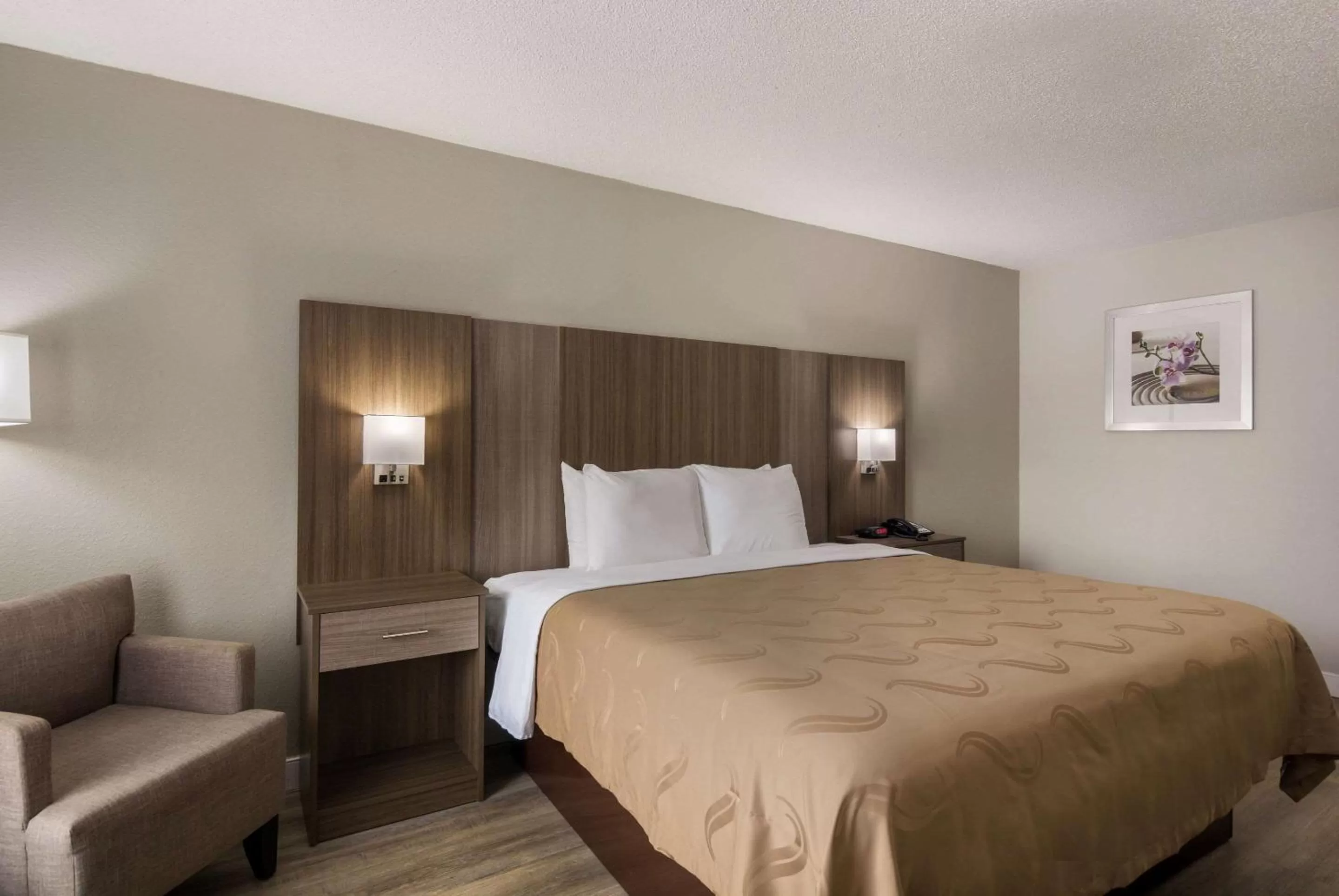 Standard King Room - Smoking in Quality Inn Emporia