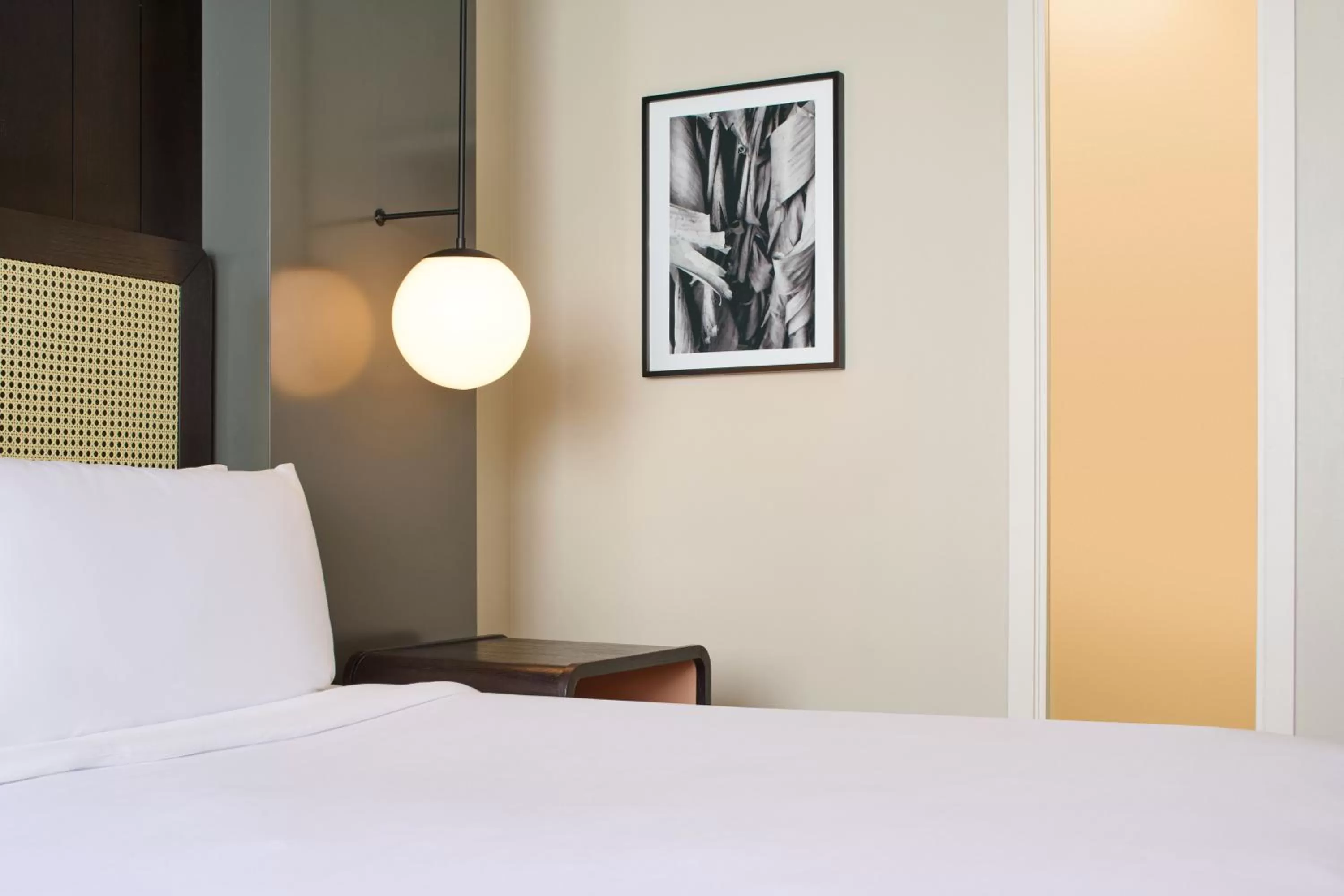 Standard Full in Hotel Renew