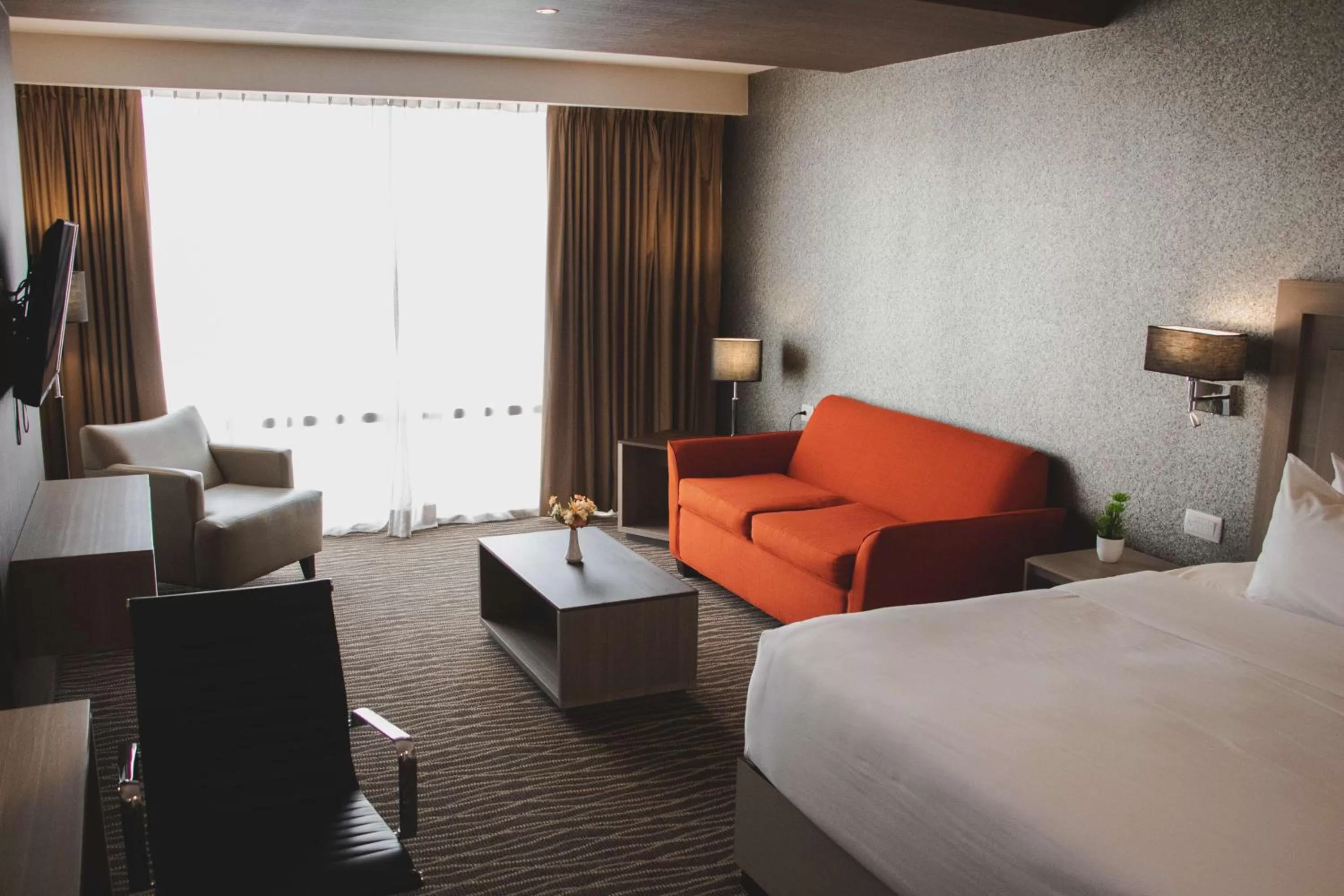 Deluxe King Room in Hilton Garden Inn Leon Poliforum