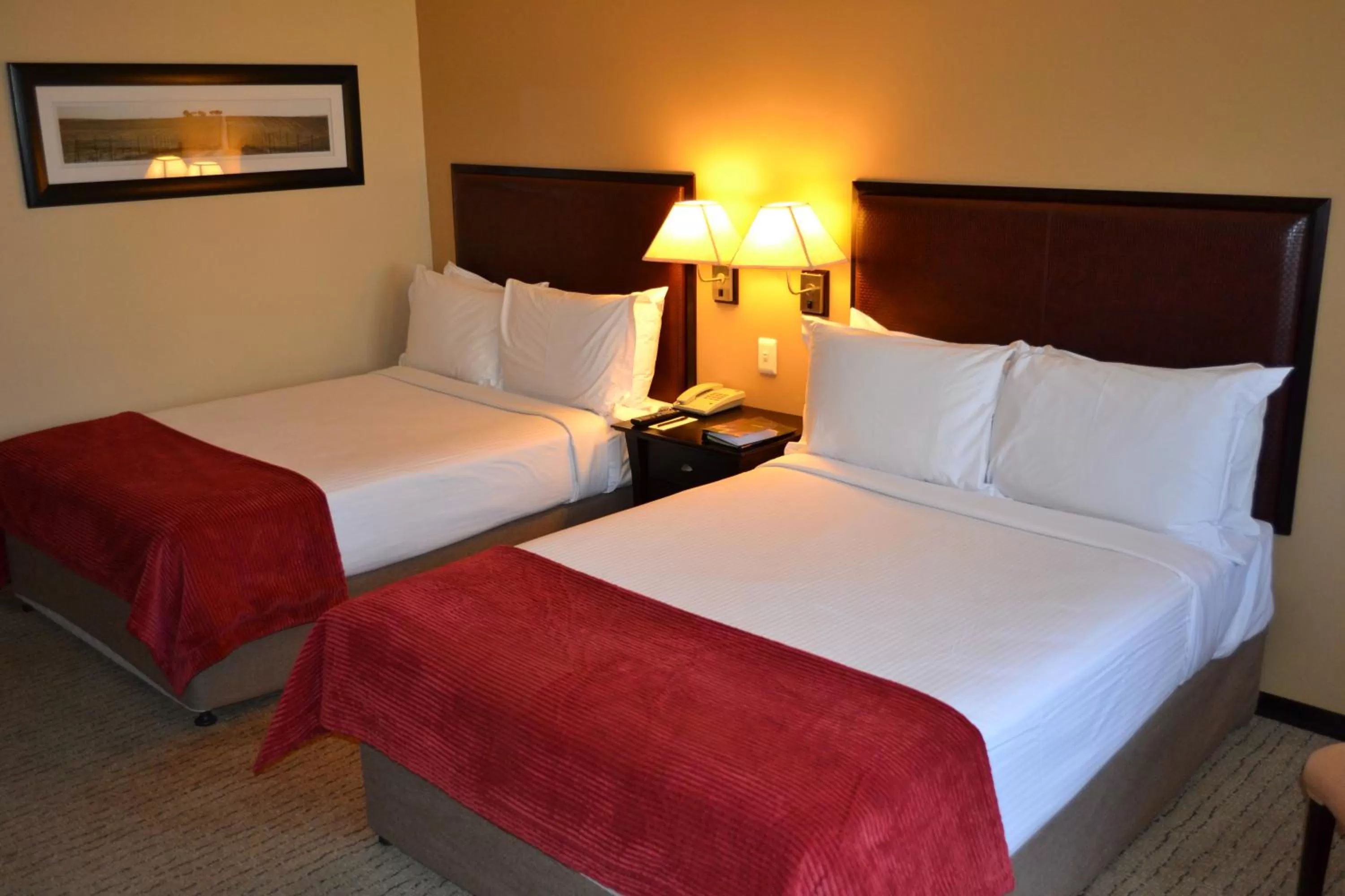 Standard Room 2 Double Beds Smoking in Southern Sun Pretoria