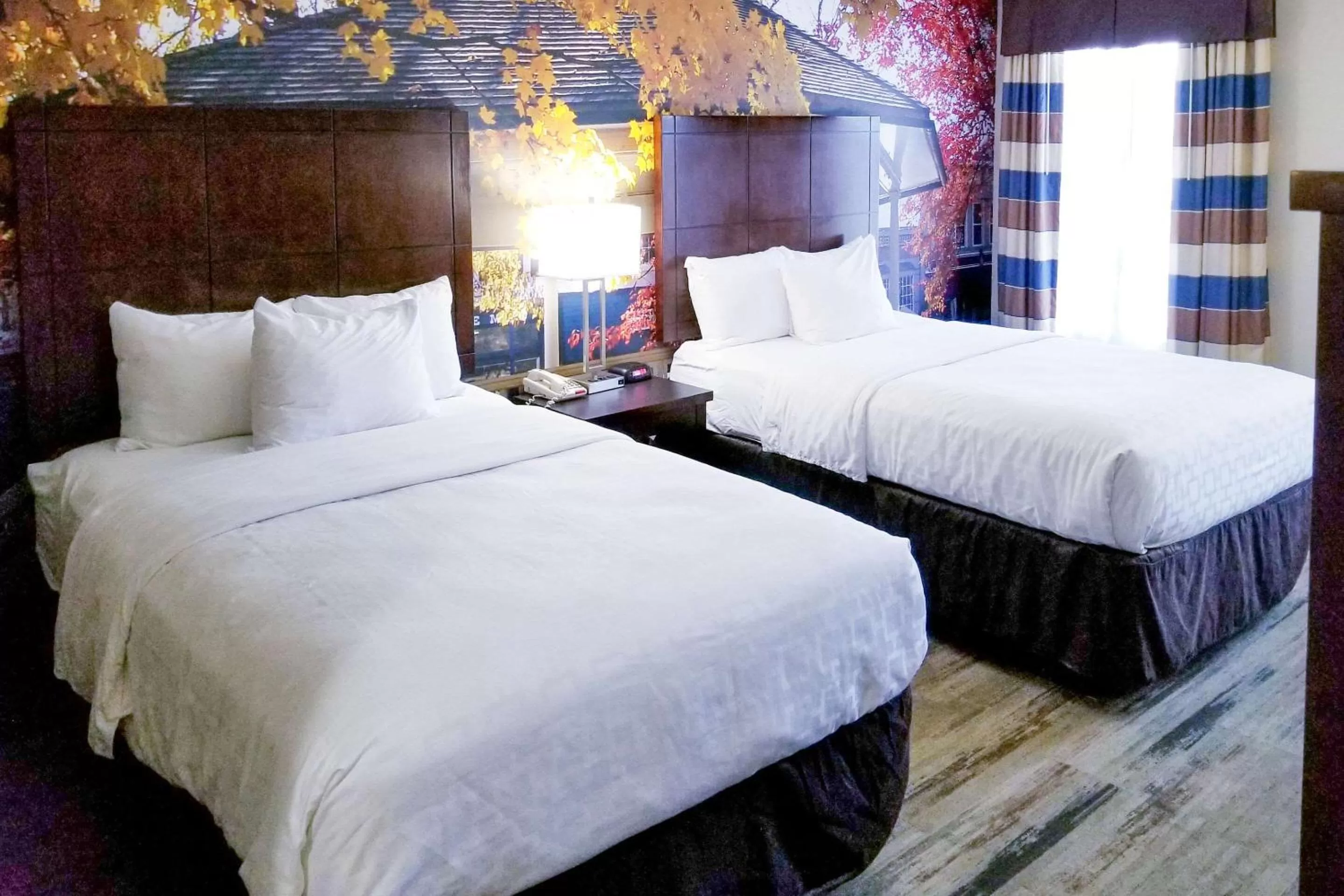 Double Room with Two Double Beds - Non-Smoking in SureStay Plus by Best Western Corydon