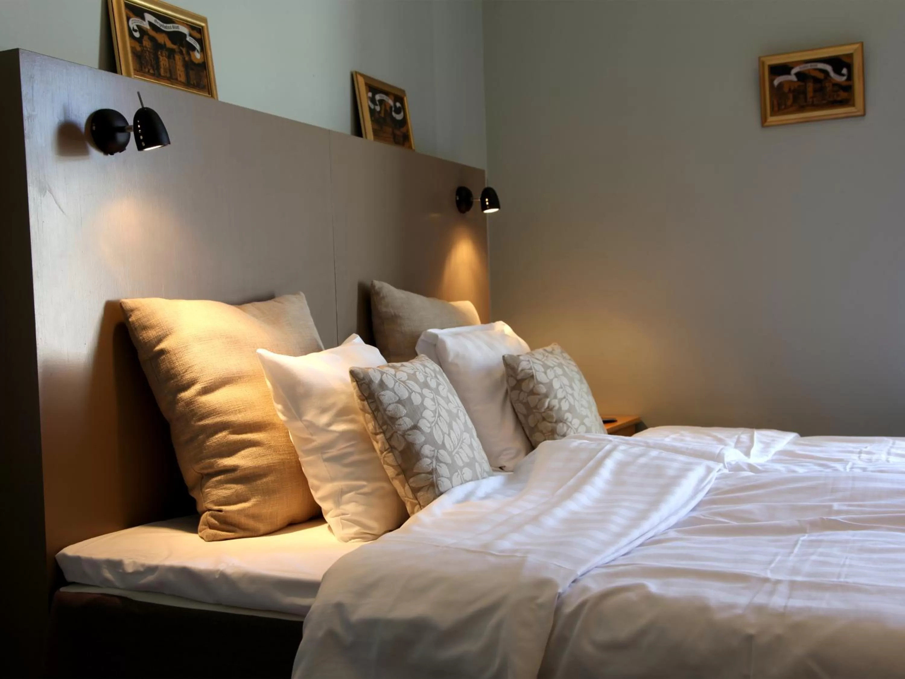 Double or Twin Room with Shared Bathroom in Gripsholms BnB