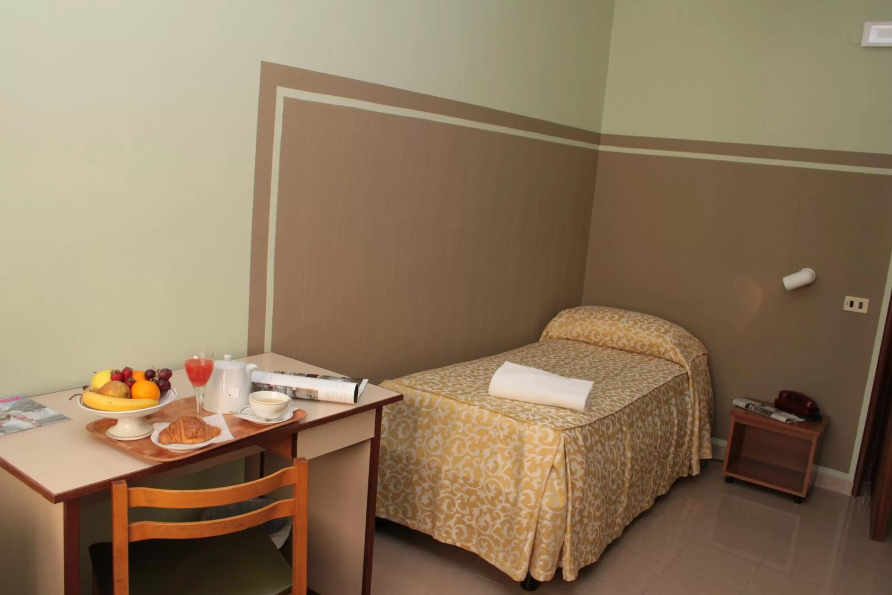 Single Room in Hotel Plaza
