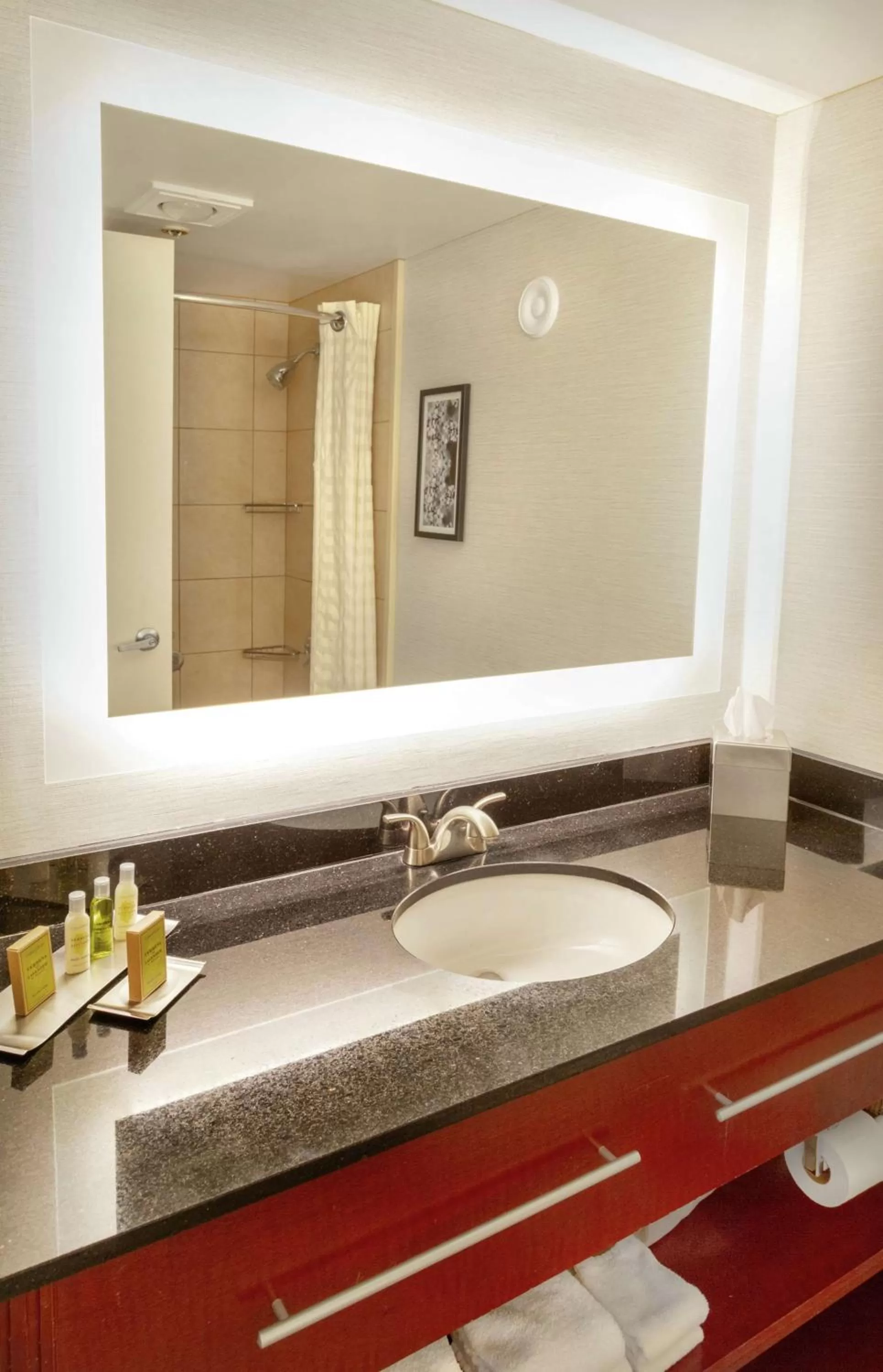 King Room with Sofa Bed in DoubleTree by Hilton Charlottesville