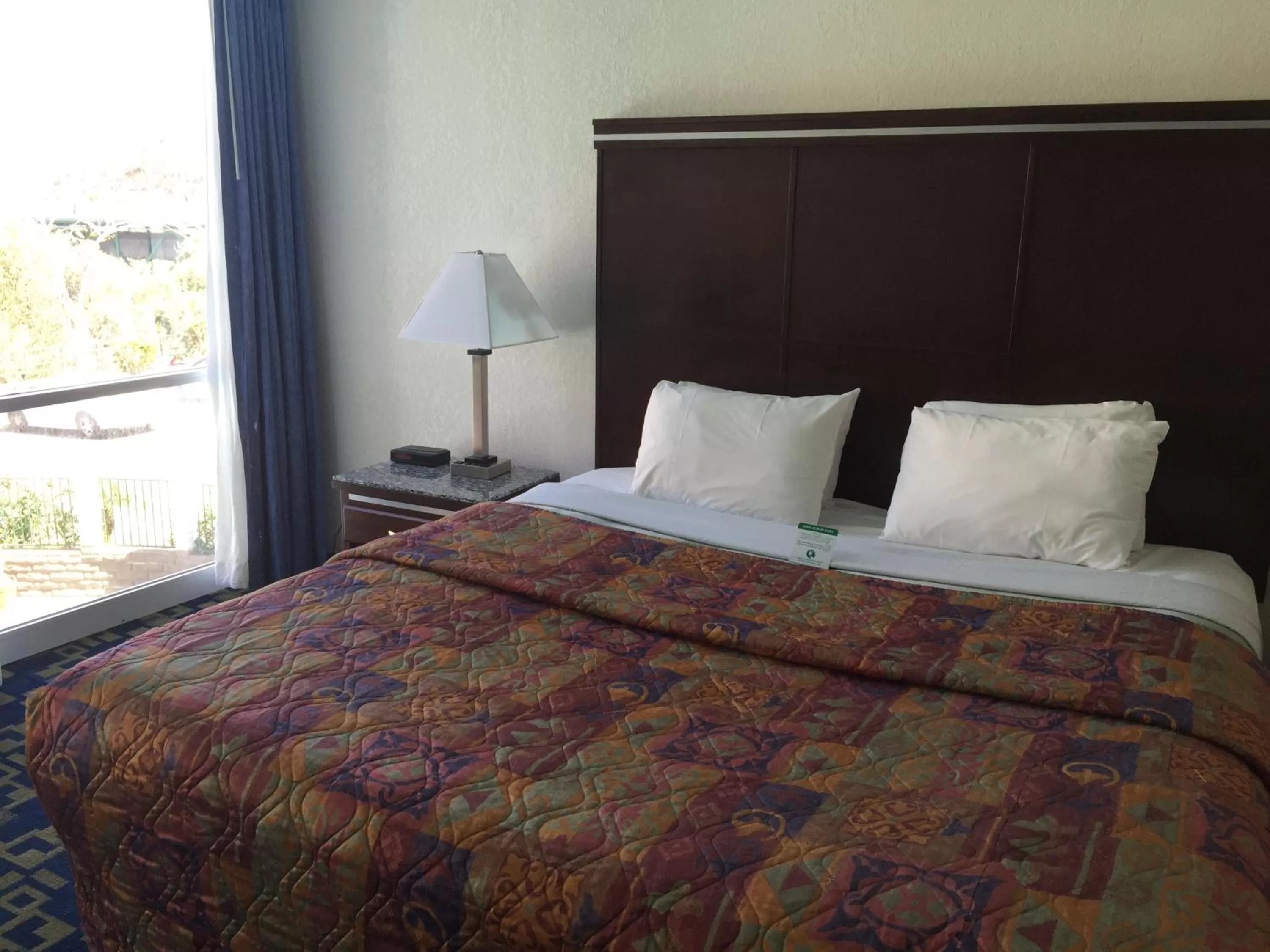 Standard Room, 1 King Bed, Non Smoking in Rodeway Inn Oceanside Marina