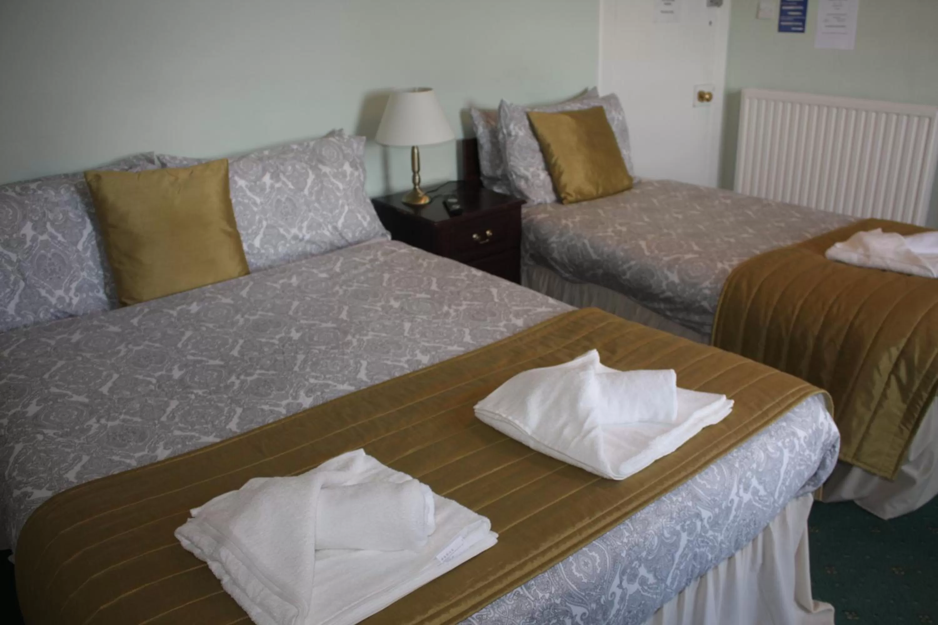 Standard Twin Room with Garden View in Airdenair Guest House