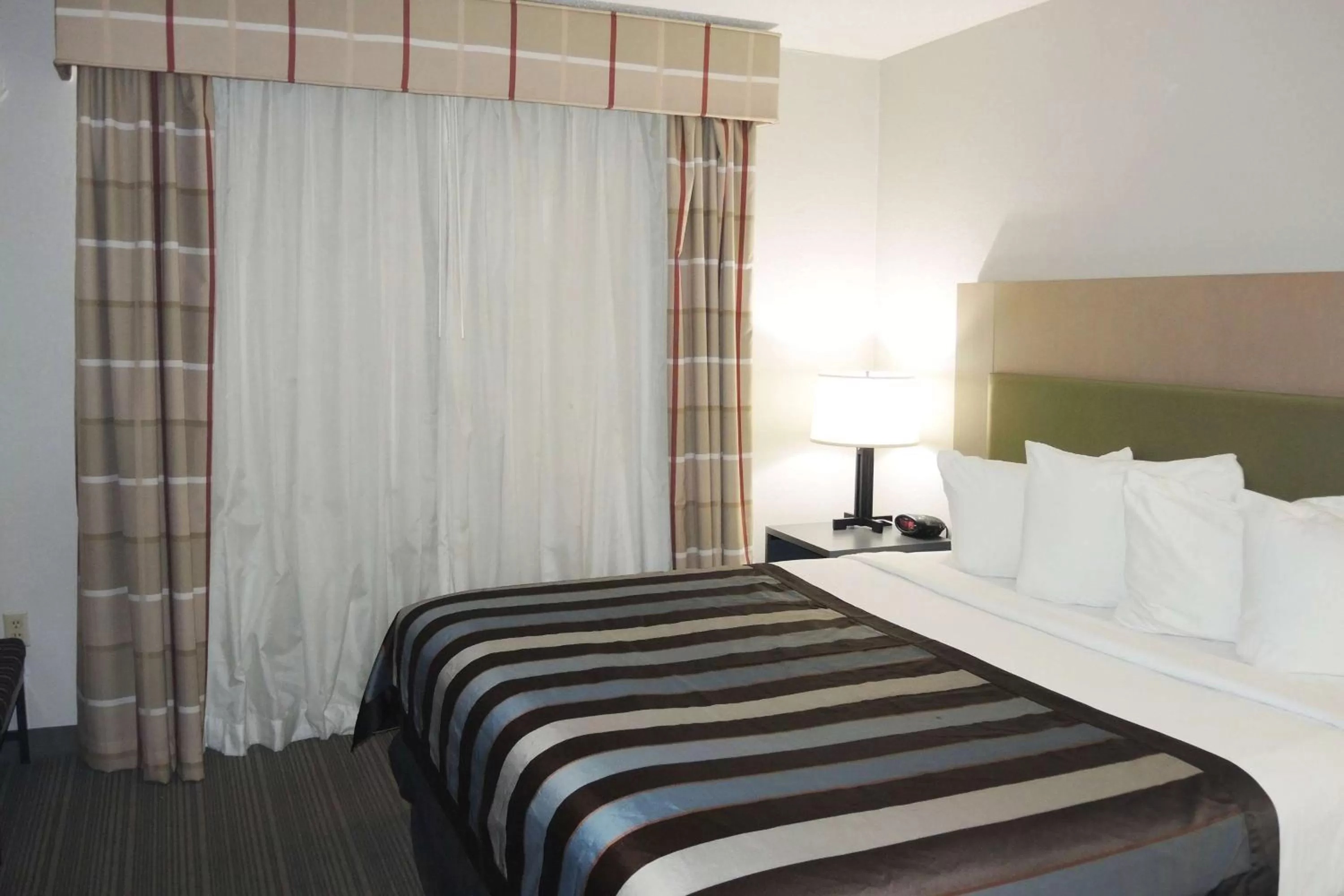 One-Bedroom King Suite, Non-Smoking in Wingate by Wyndham Matthews - Charlotte