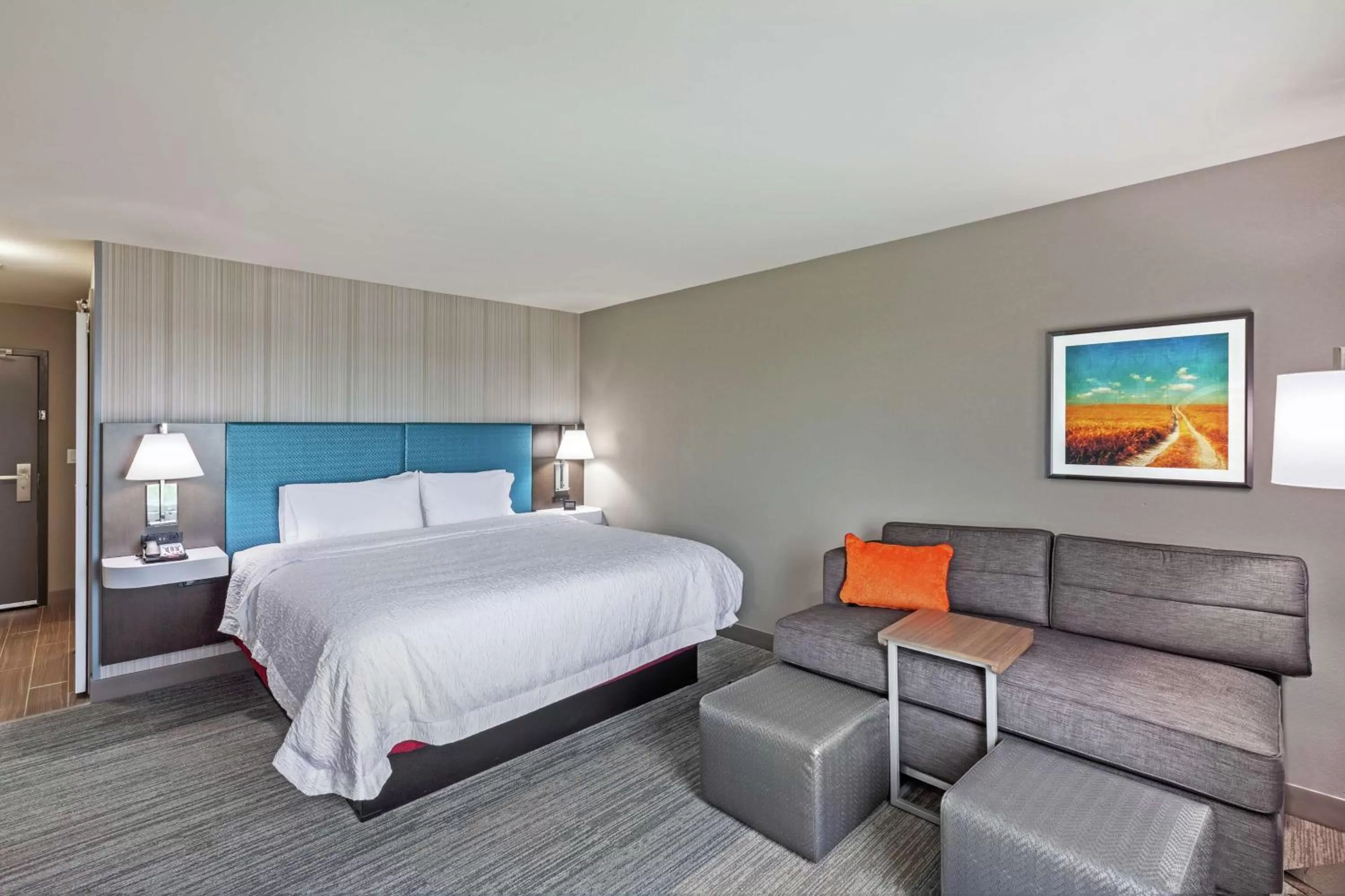 King Room with Sofa Bed- Non-Smoking in Hampton Inn Gardner