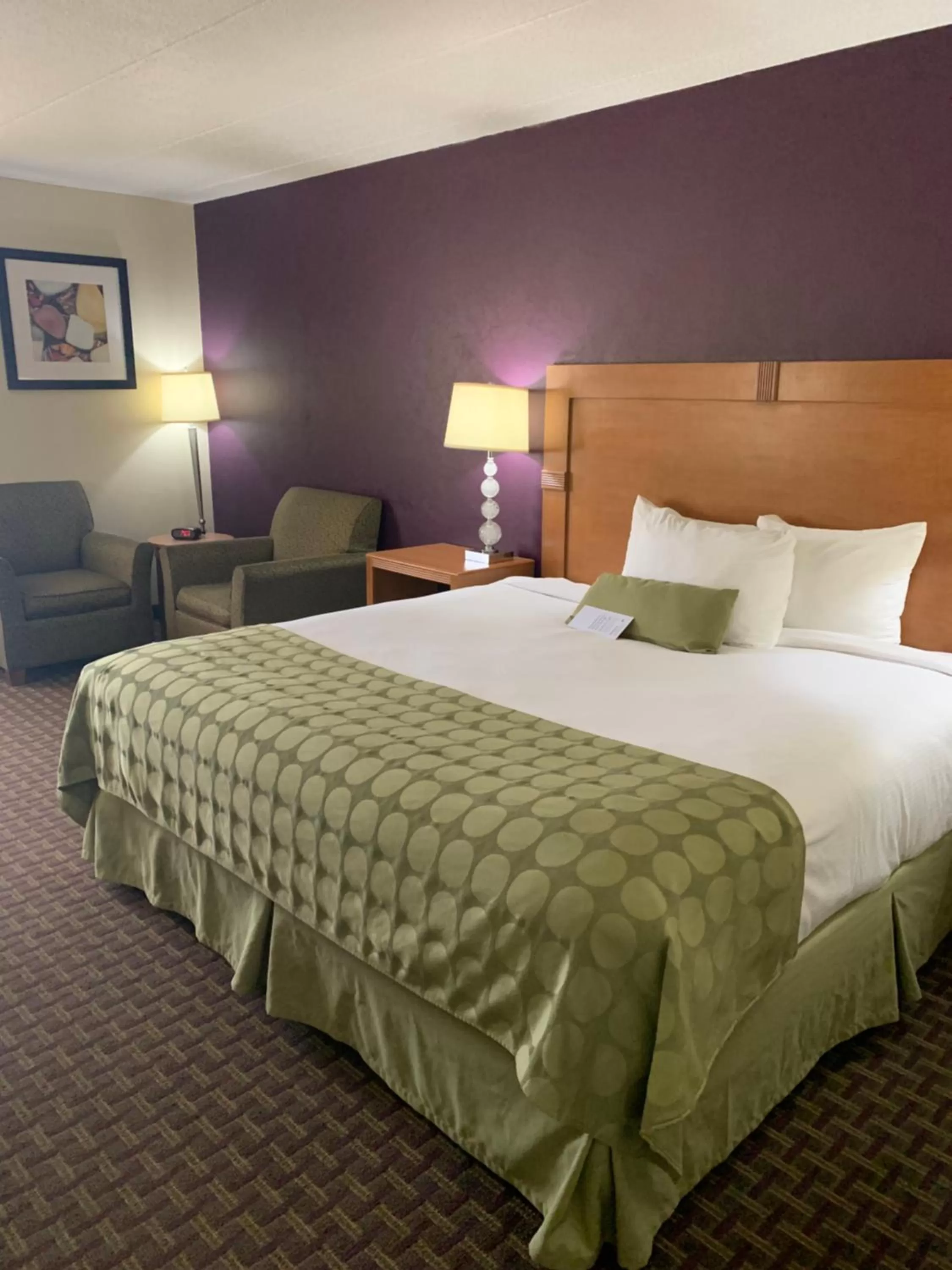 King Room- Non-Smoking in Ramada by Wyndham Marquette