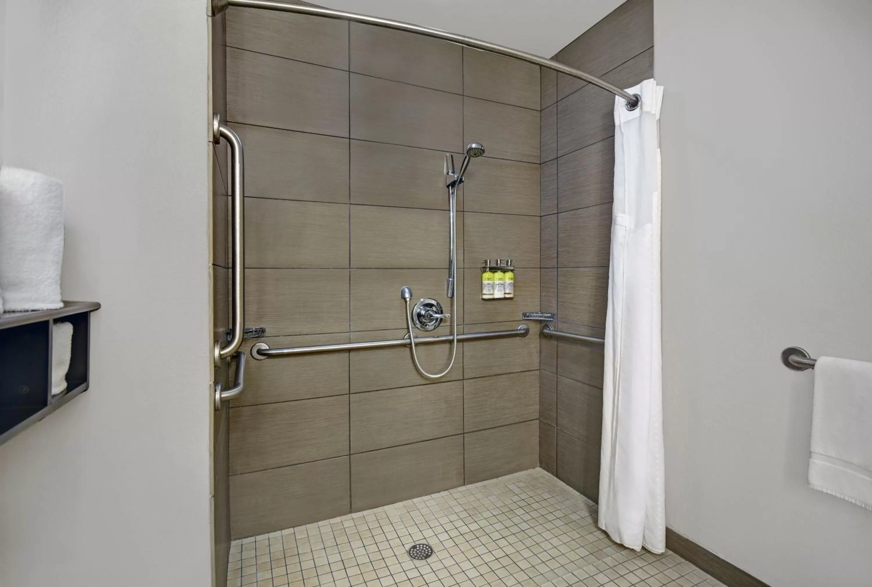 King Suite - Disability Access Roll in Shower/Non-Smoking in Holiday Inn Express Adrian by IHG