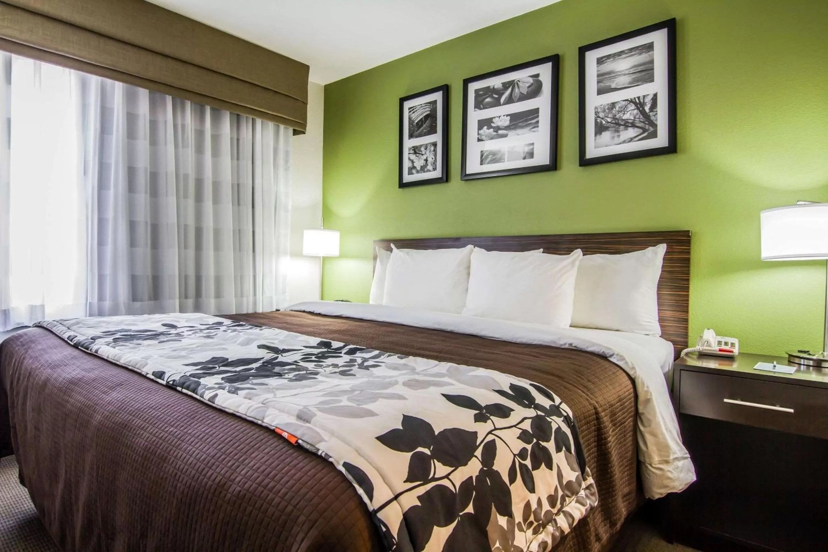 King Room with Roll-In Shower - Accessible/Non-Smoking in Sleep Inn Gallup