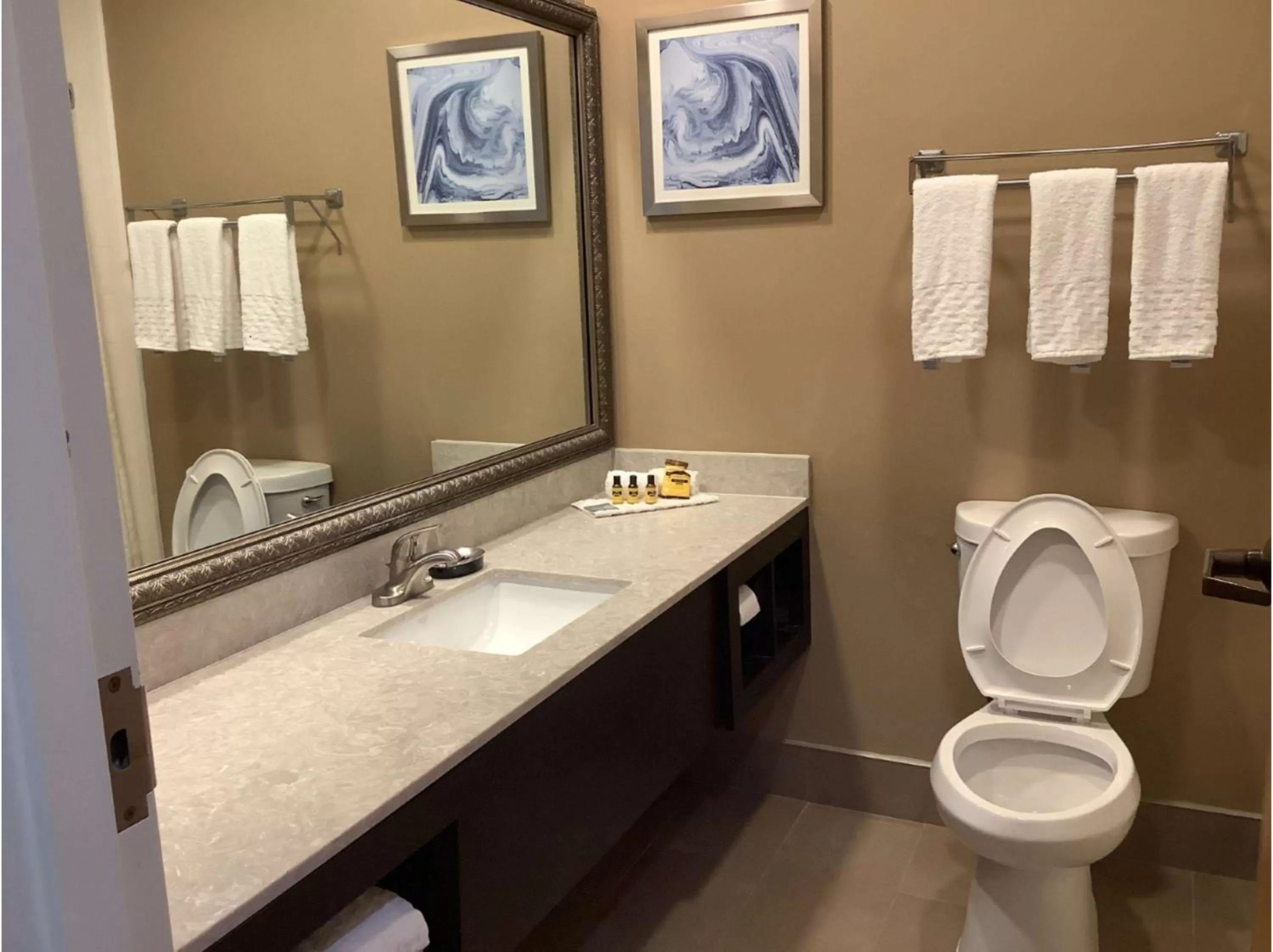 King Suite with Sofa Bed in Best Western Plus Madison