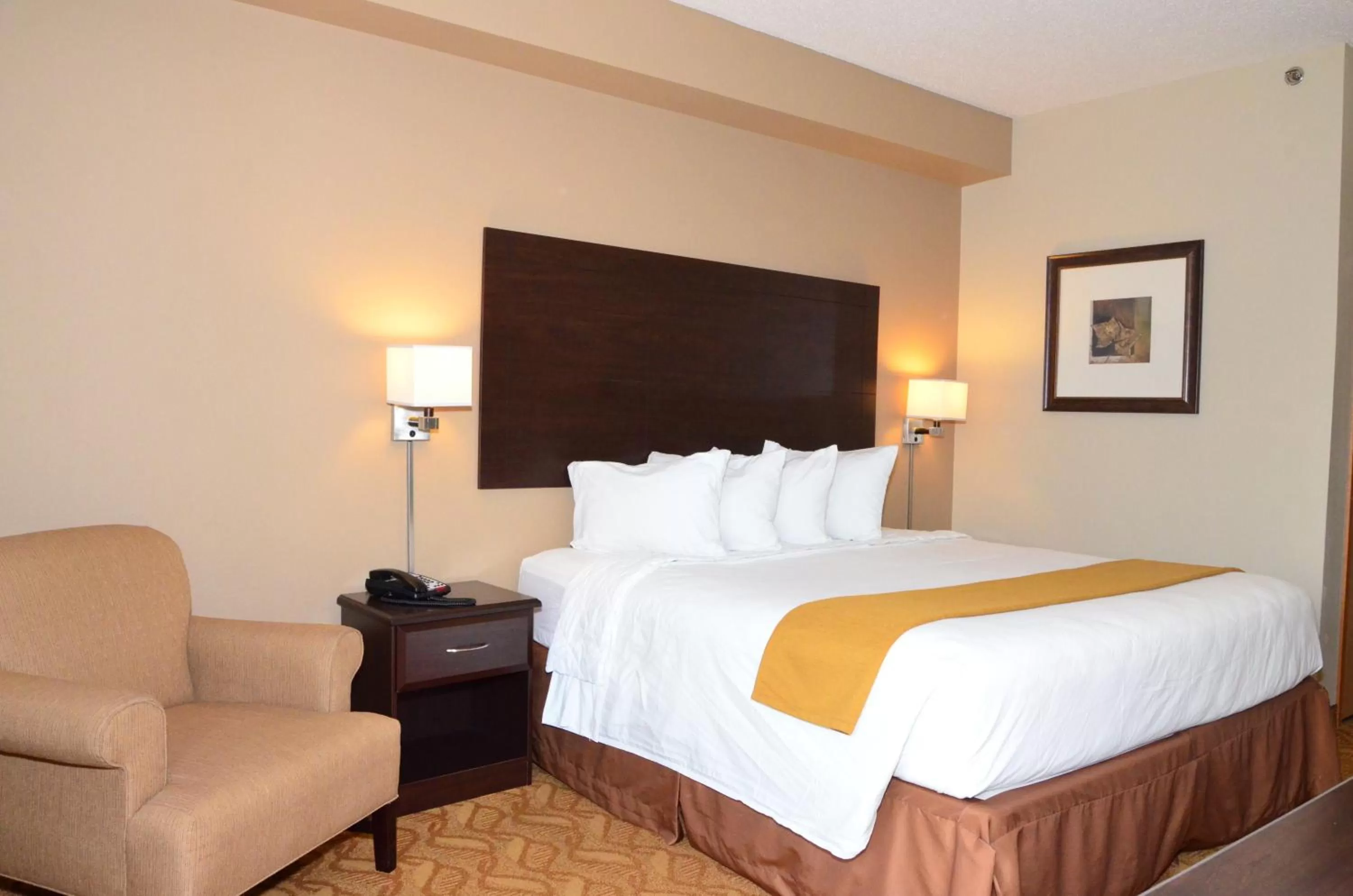 King Room - Disability Access in Cobblestone Inn & Suites - Lake View