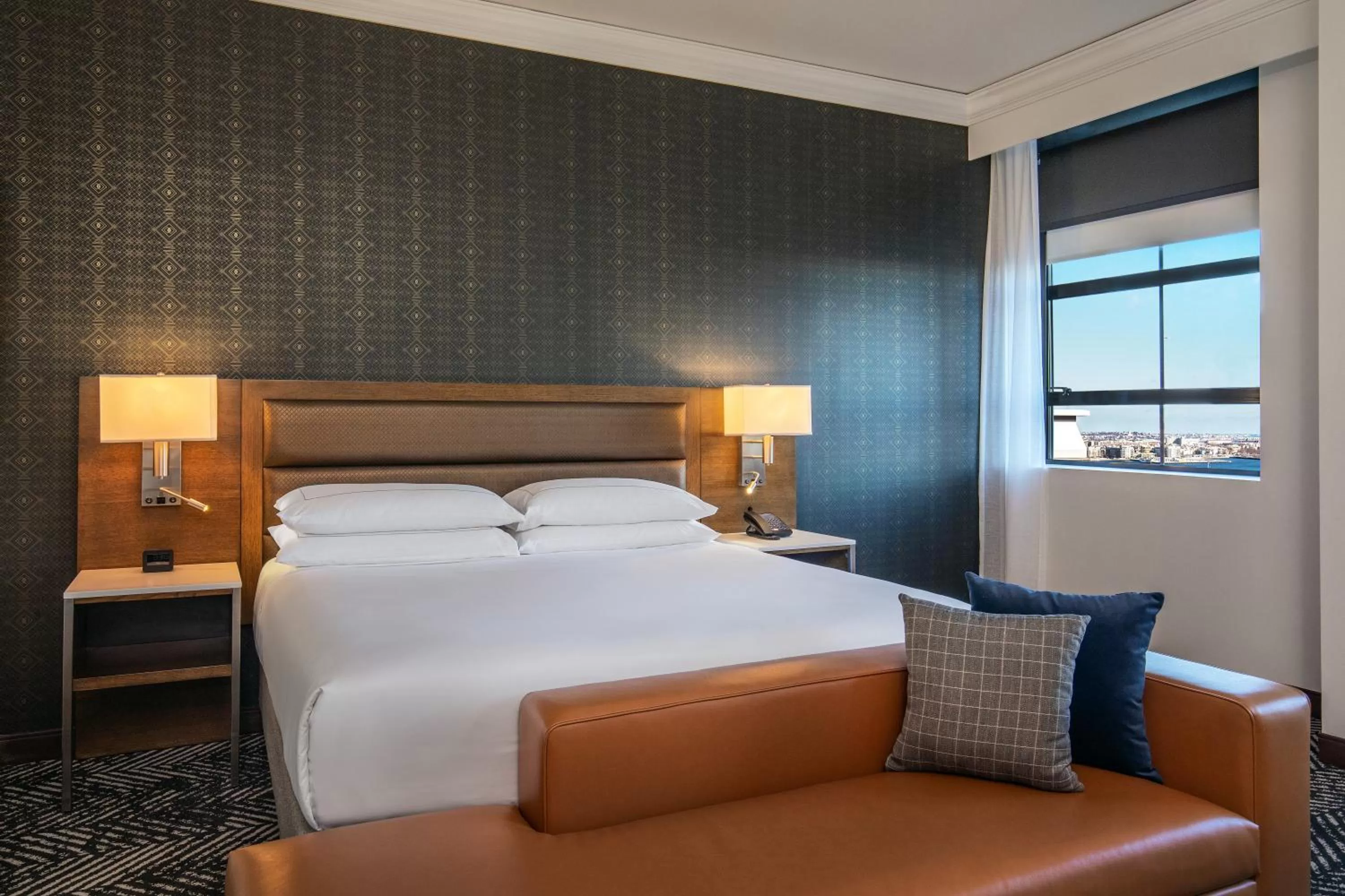 Standard King  in The Dagny Boston