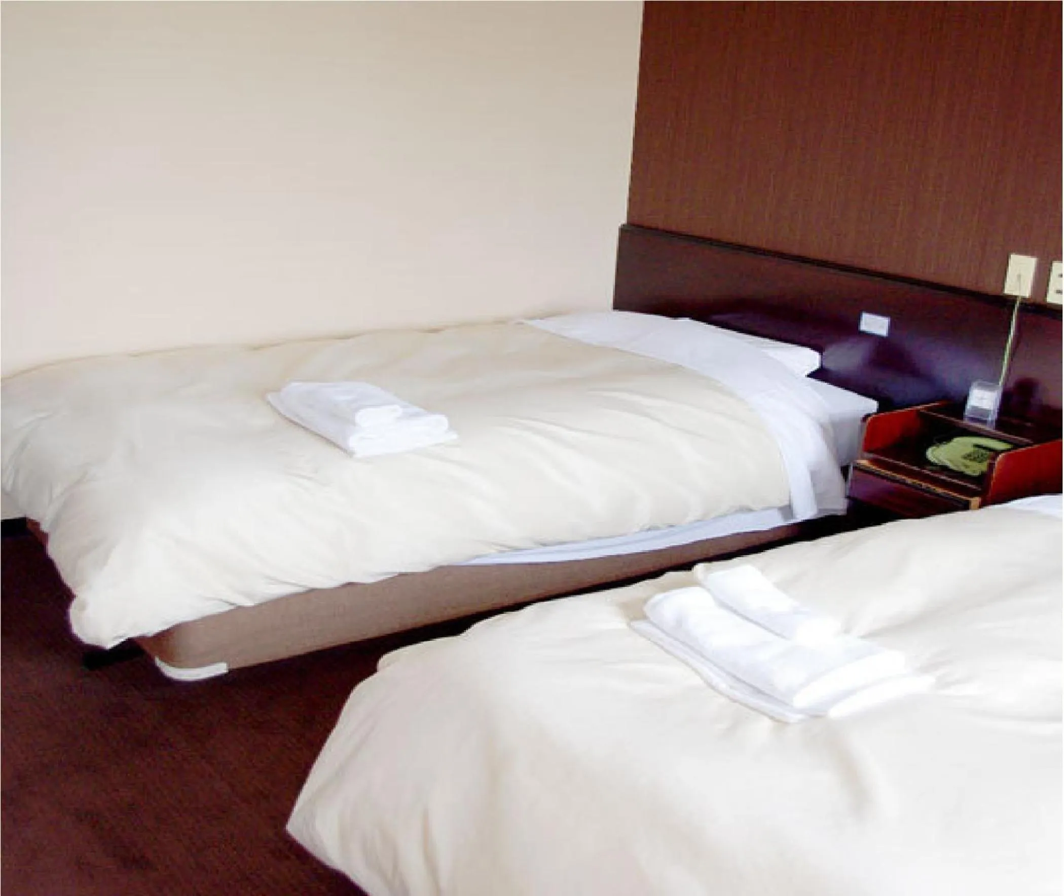 Twin Room with Extra Bed - Non-Smoking in Niigata Park Hotel