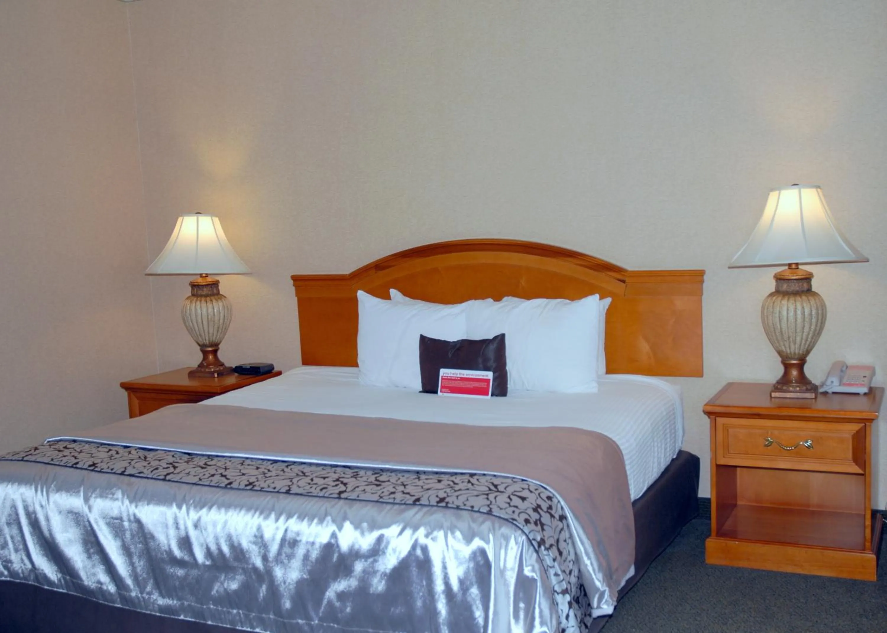 Efficiency King Room - Non-Smoking in Ramada by Wyndham Olympia