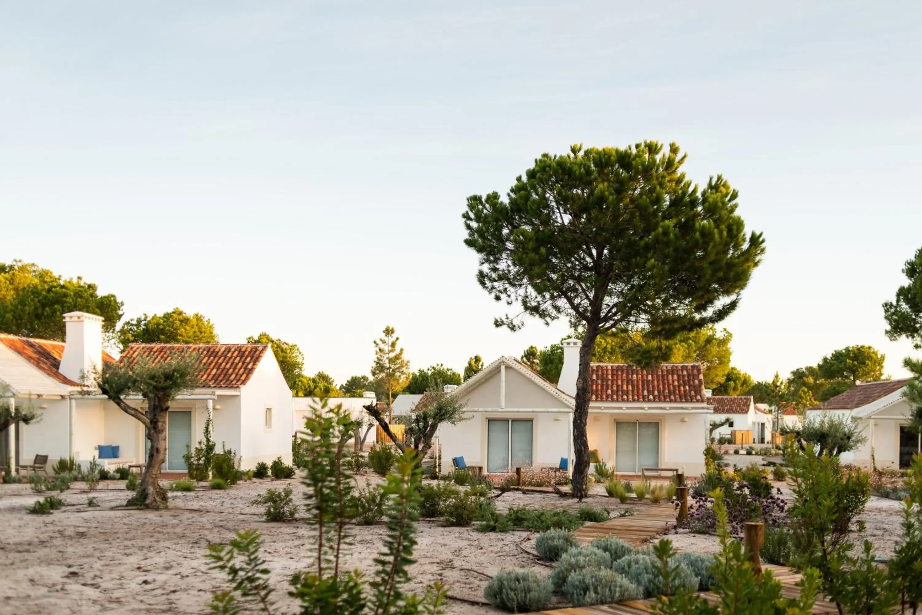 Independente Comporta Independente Comporta