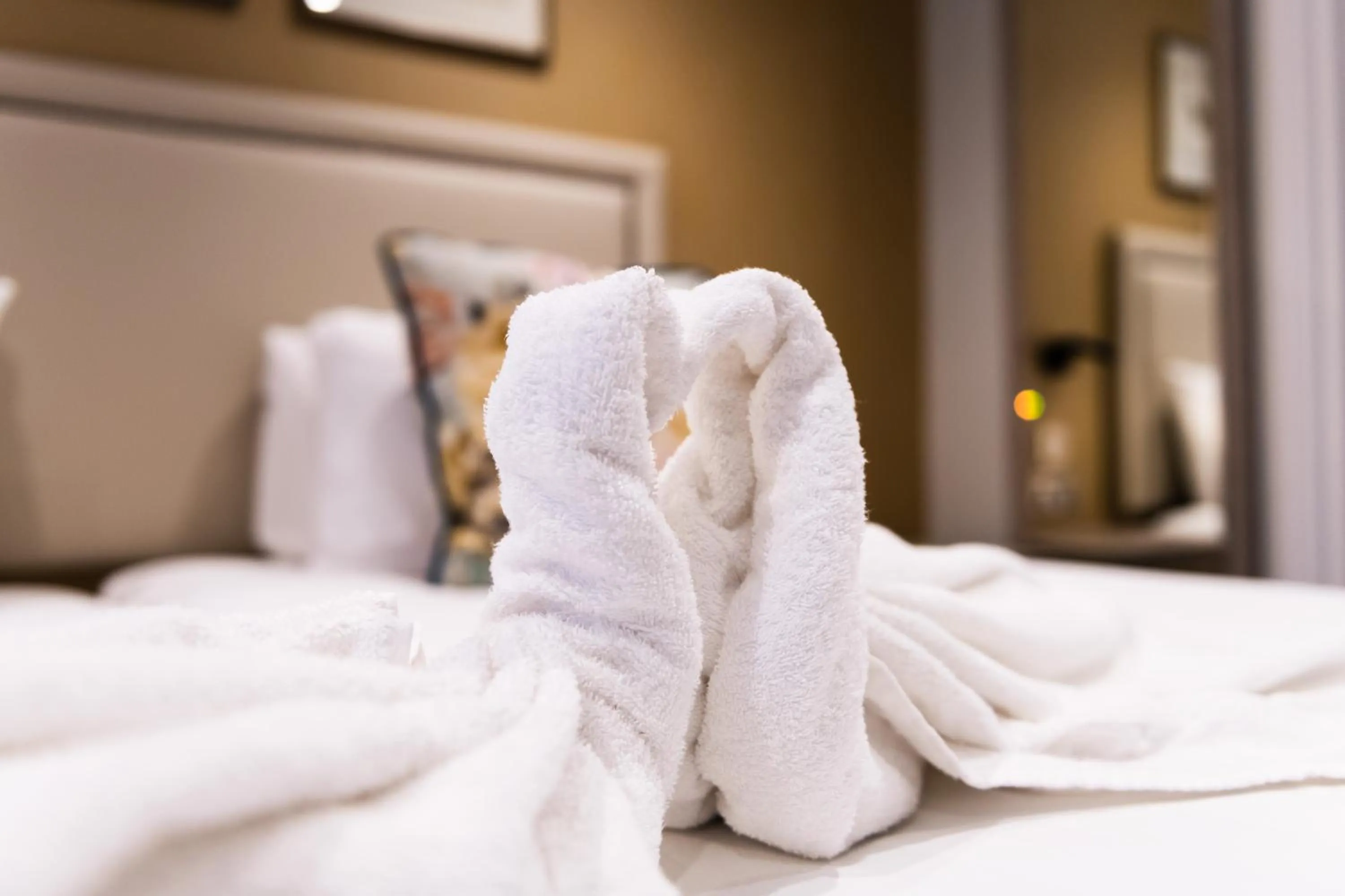 Superior Double or Twin Room in Byron Hotel