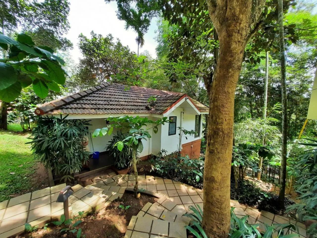 One-Bedroom Villa in Willow Resorts Wayanad