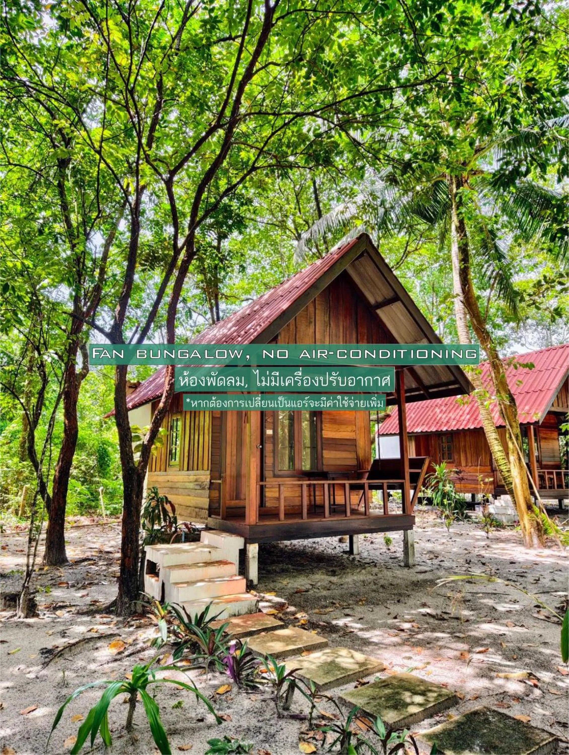 Bungalow with Fan in Ziggy Stardust