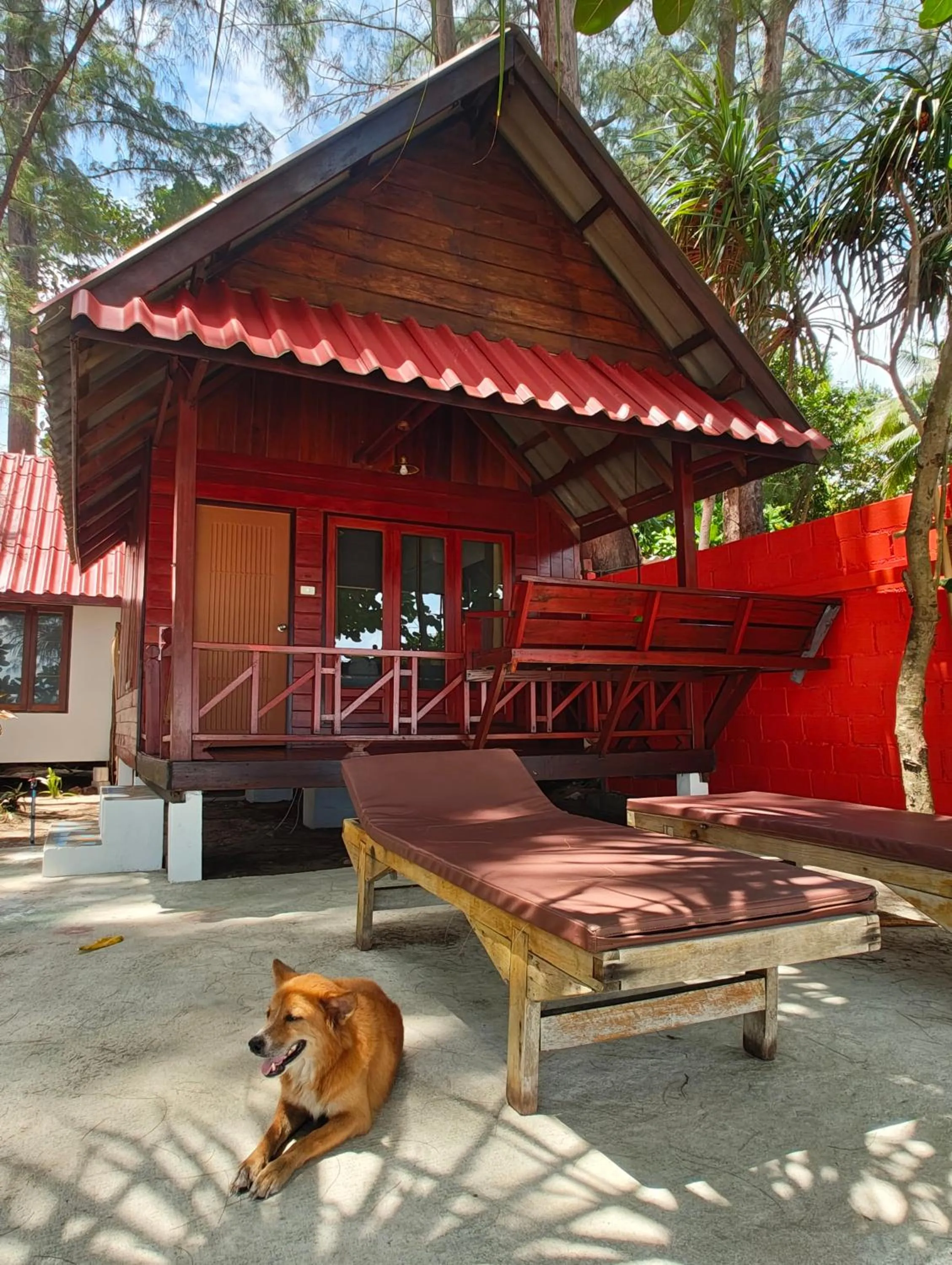 Bungalow - Beach Front in Ziggy Stardust