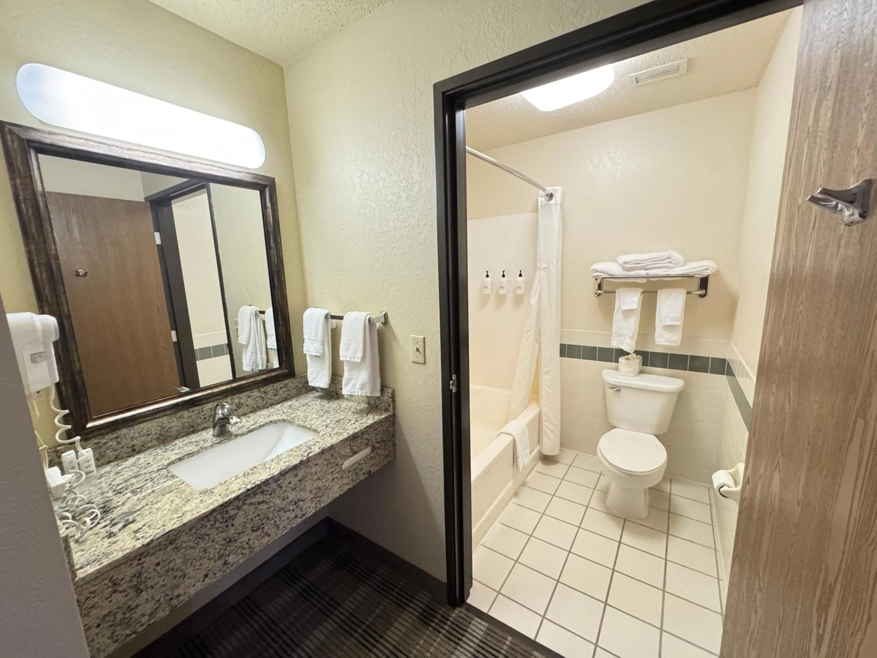 One-Bedroom Premium King Suite - Non-Smoking in AmericInn by Wyndham Baldwin