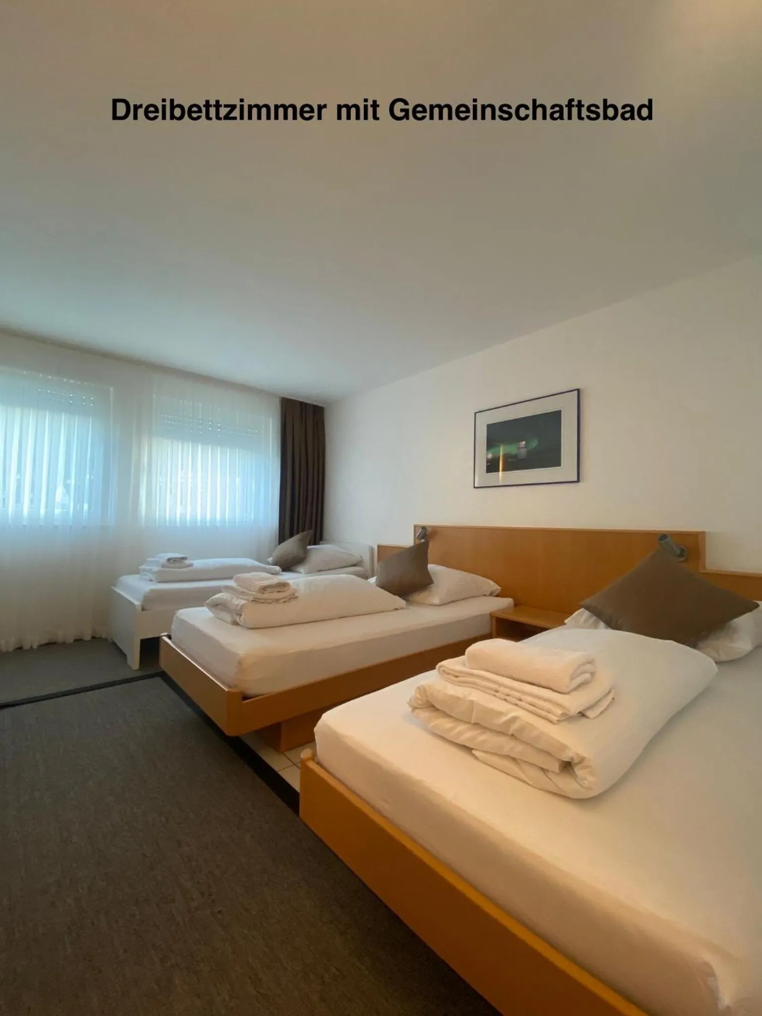 Triple Room - single occupancy in Elha Hotel