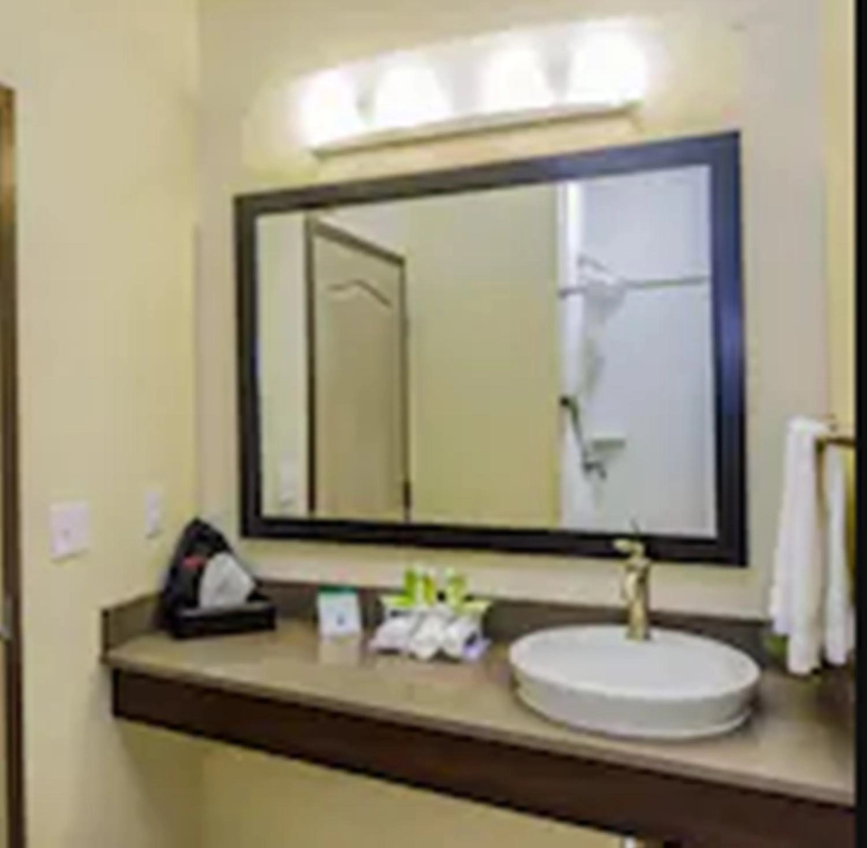 Standard King Room in Holiday Inn Express Cheektowaga North East by IHG