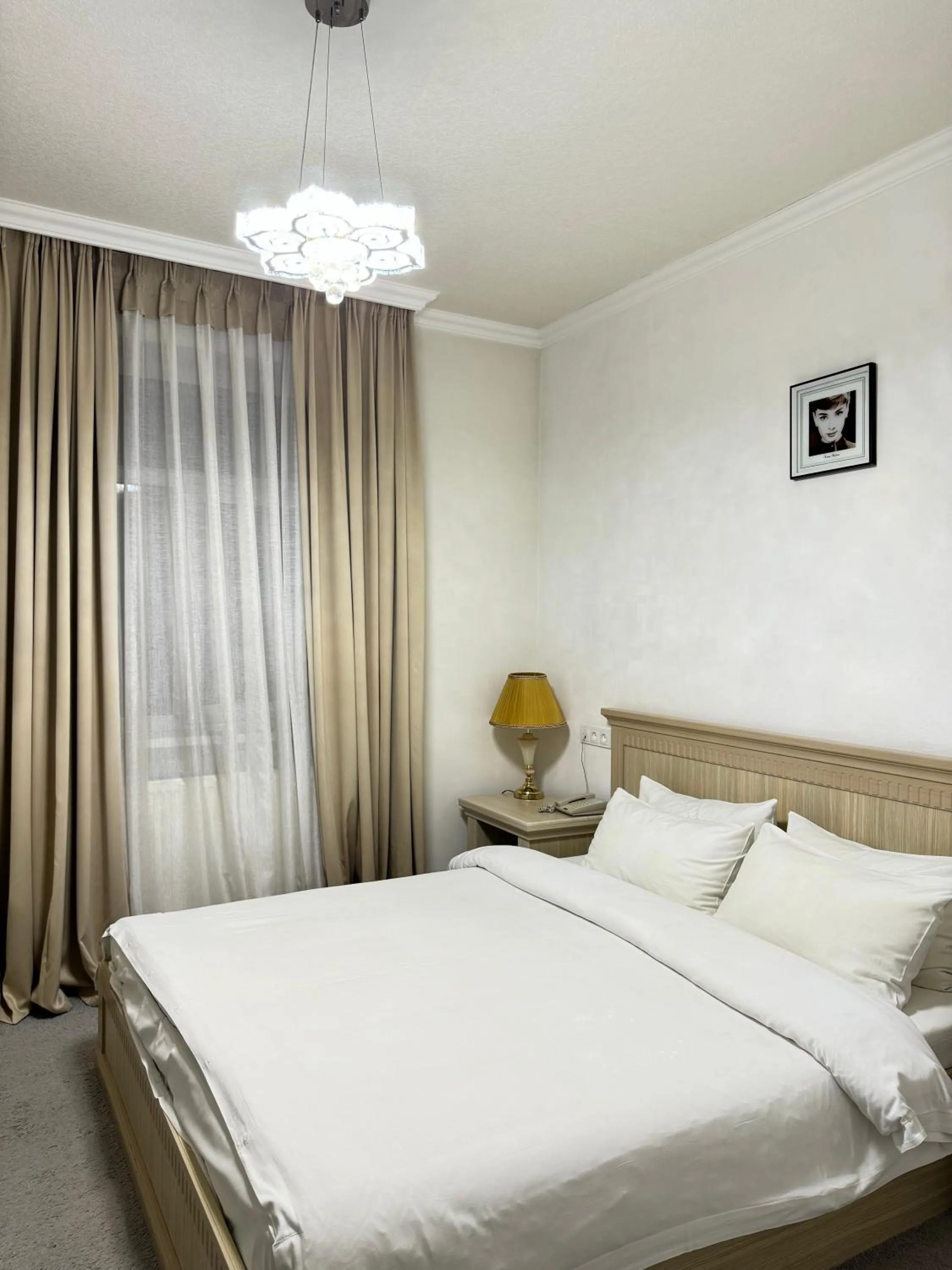 Double Room - single occupancy in Alexander Hotel
