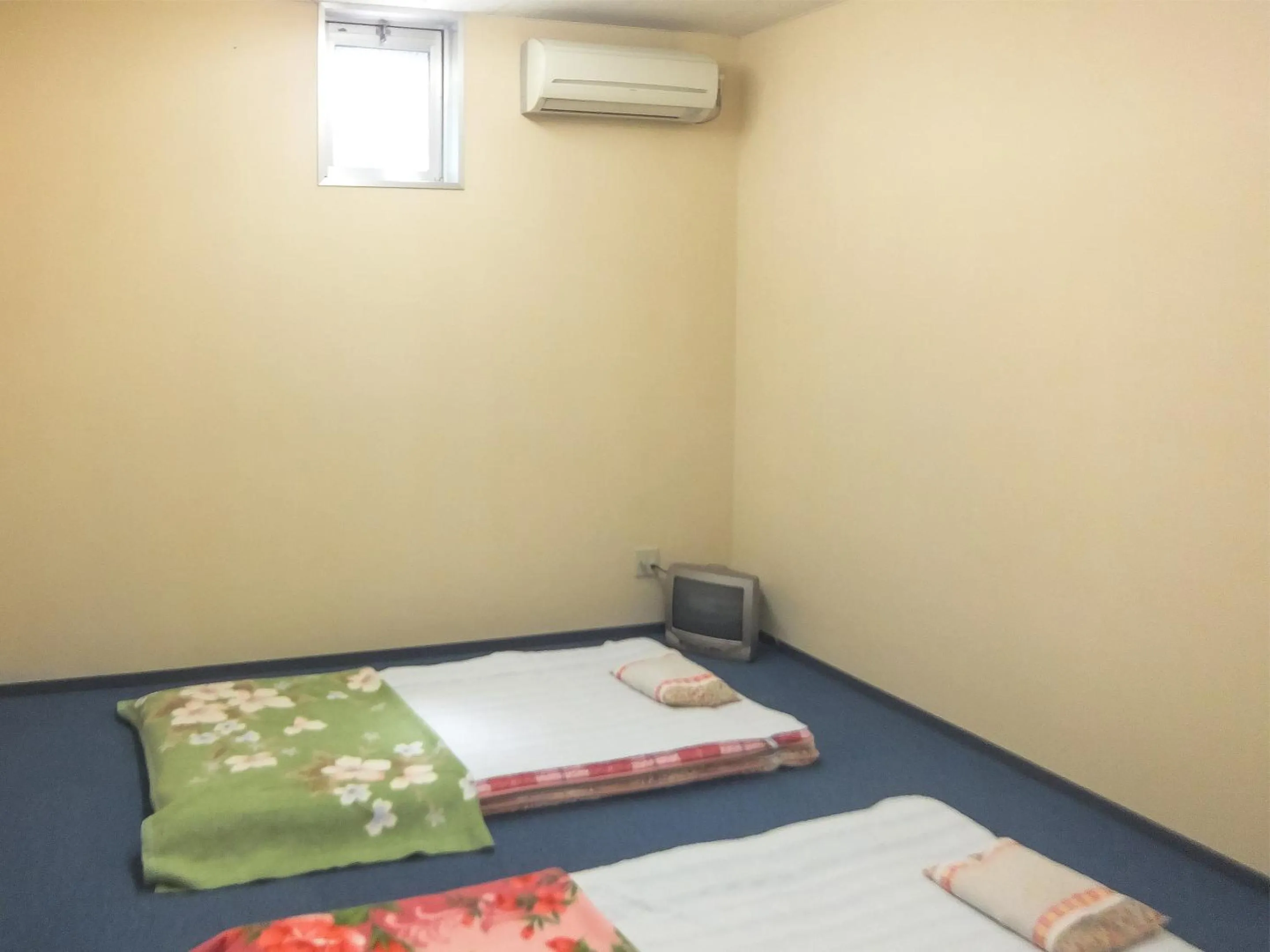 Standard Twin Room in Natural Onsen Hostel Hidamari no Yu