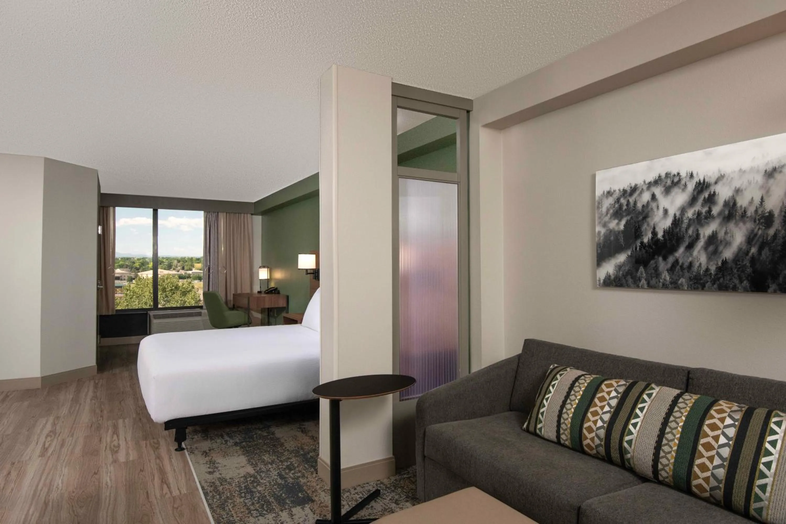 King Room with Sofa Bed and Accessible Tub - Disability Access in Hyatt Place Denver-South/Park Meadows