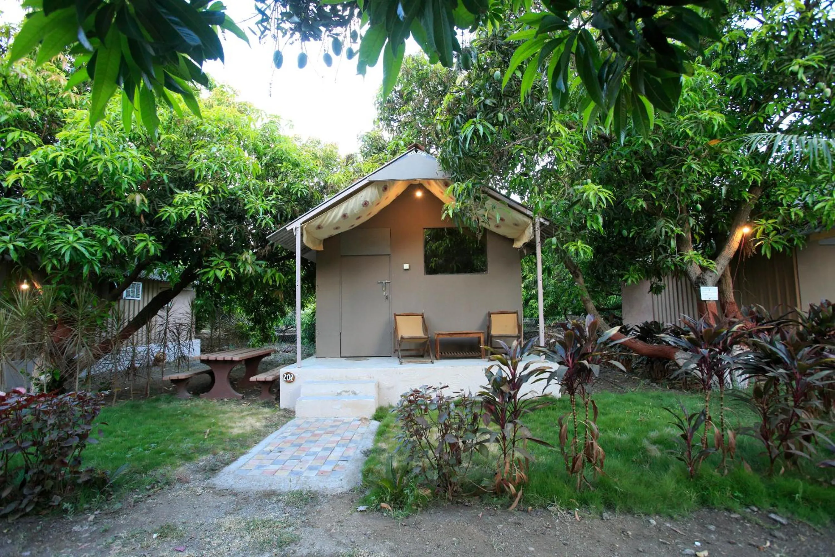 Deluxe Double Room in Amber Resort