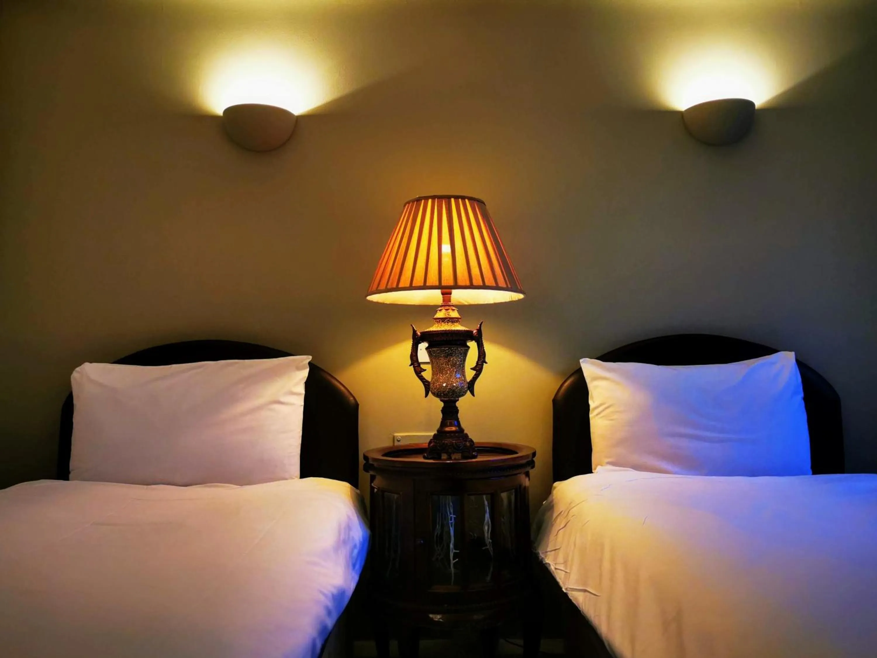 Twin Room - single occupancy in Castle Hotel