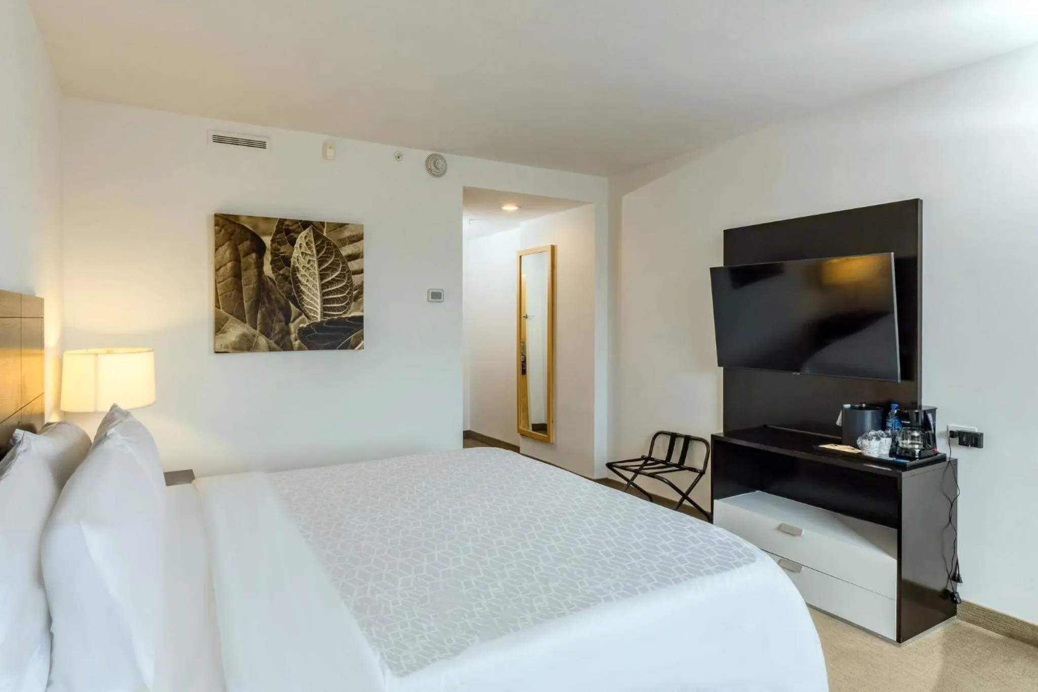 King Suite with Additional Kitchen Area - single occupancy in Holiday Inn Express Managua by IHG