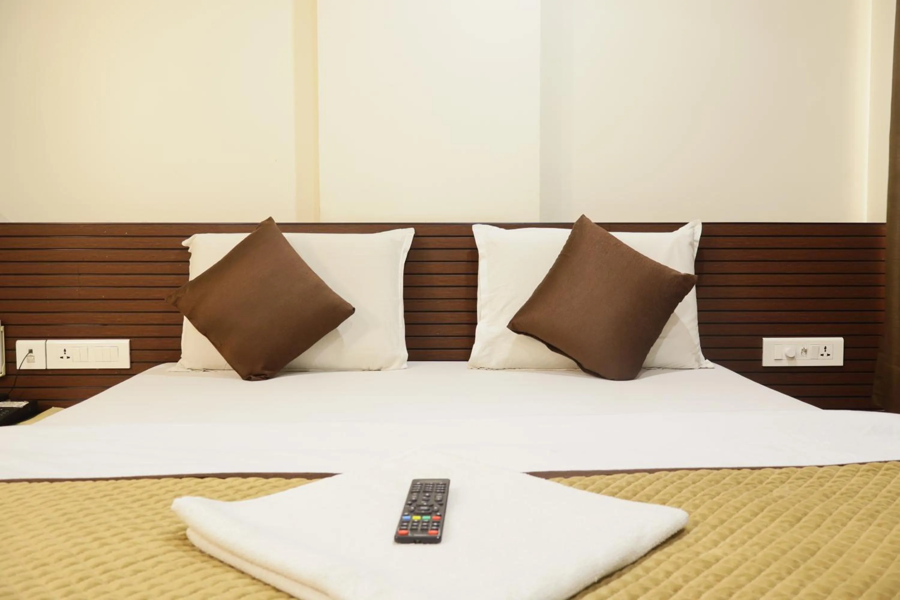 Deluxe Double Room - single occupancy in Hotel Kabir