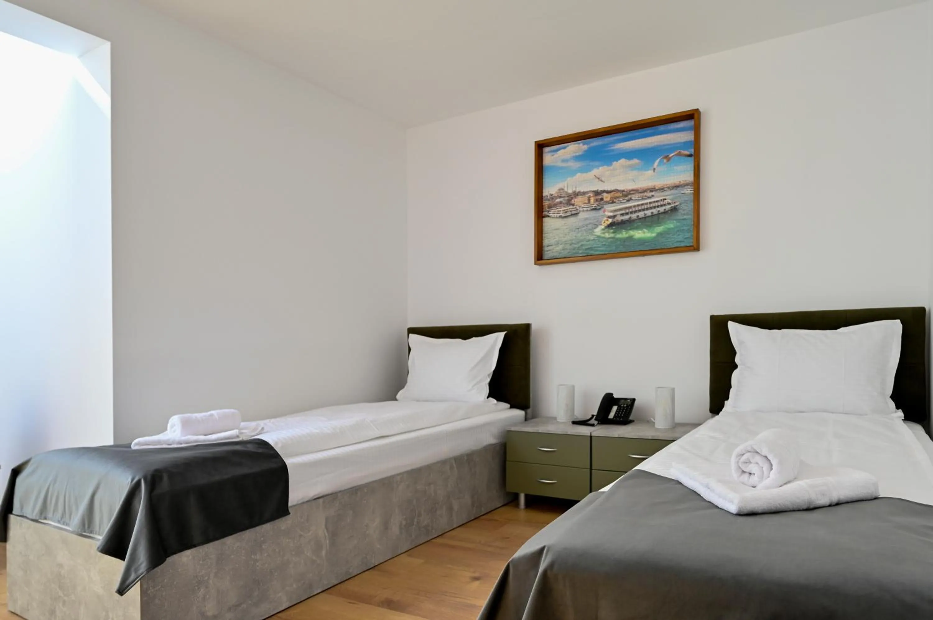 Deluxe Twin Room in Casa EMA Pensiune & SPA