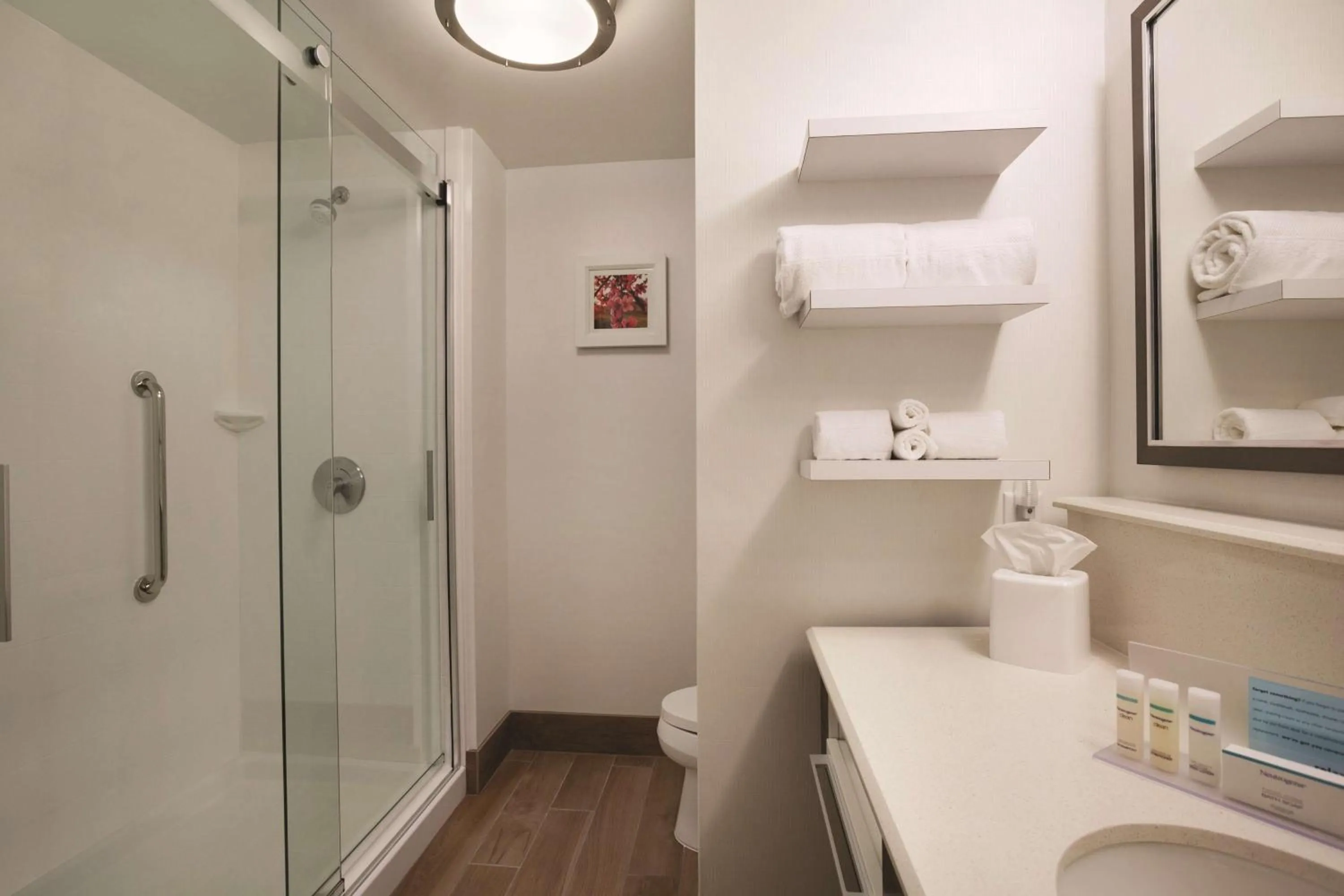 King Room - Non-Smoking in Hampton Inn Brigham City