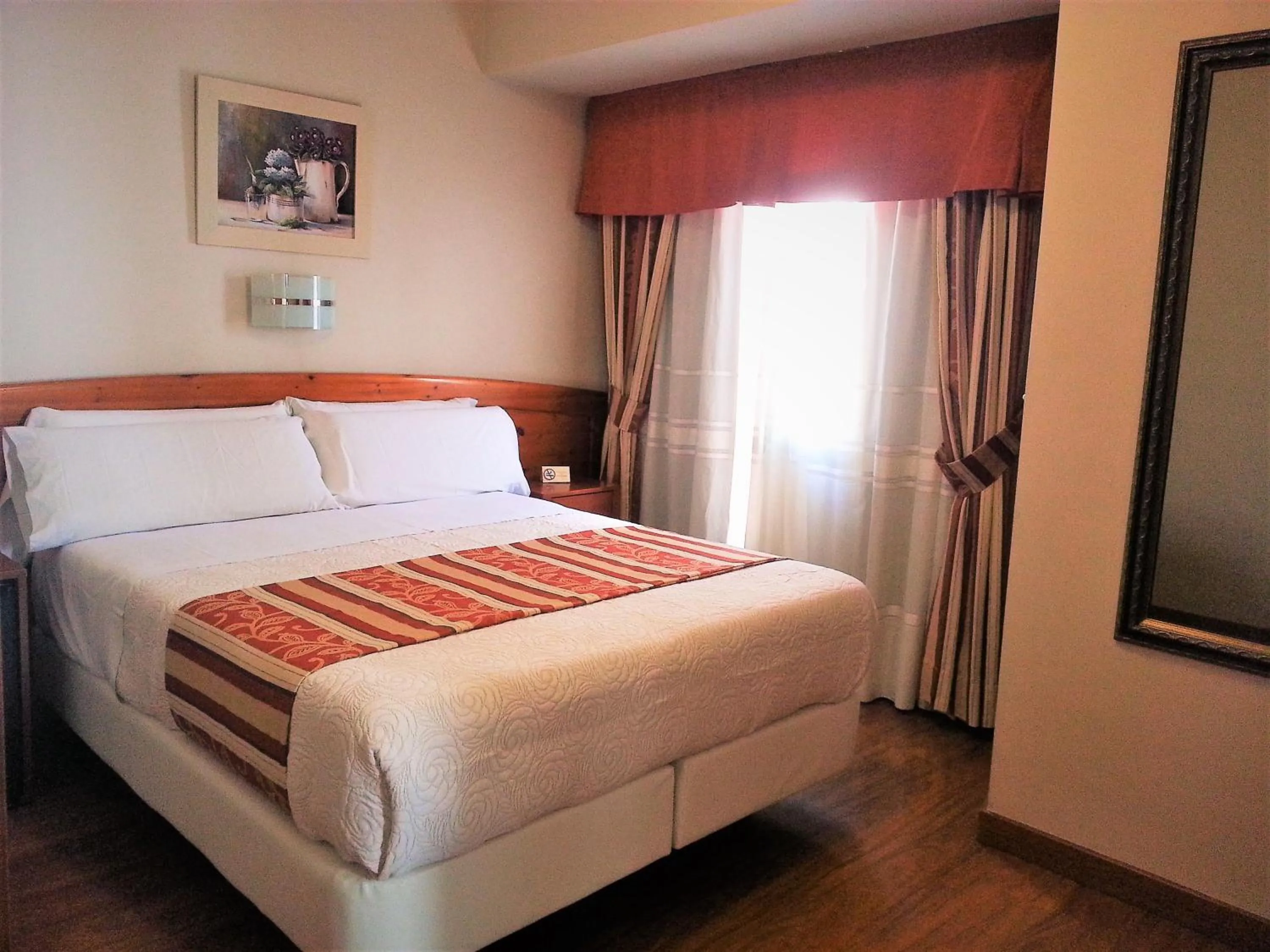 Double Room - single occupancy in Hotel Alameda Málaga