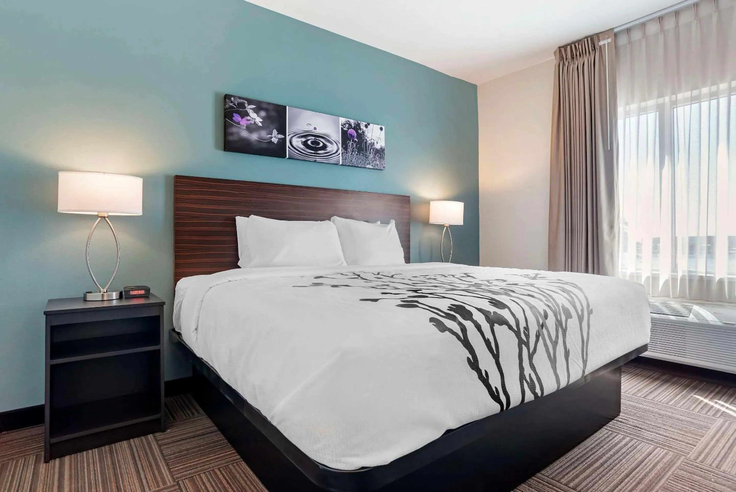 King Room with Roll-In Shower - Disability Access/Non Smoking in Sleep Inn & Suites Fort Walton Beach - Destin West