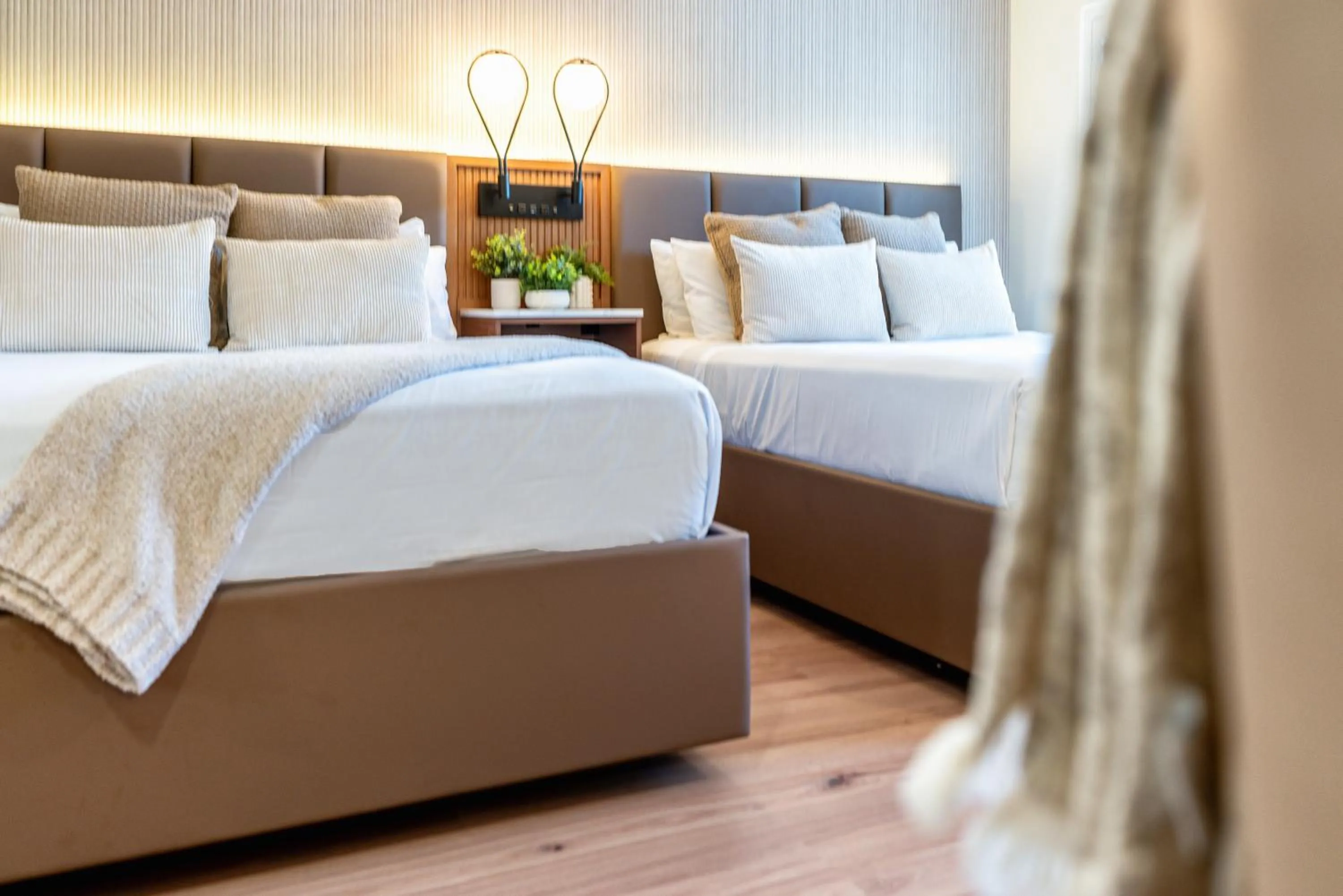 Superior Queen Room in LYFE INN & SUITES by AGA - Beverly Hills