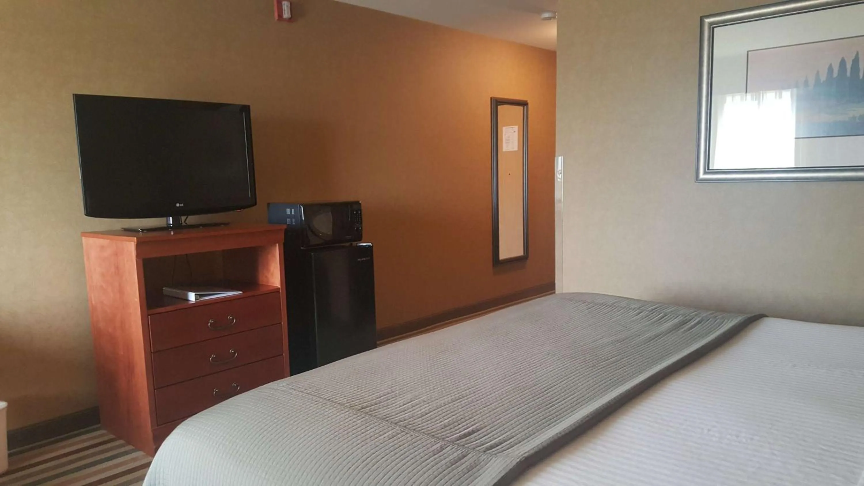 King Room with Roll-in Shower - Disability Access - Non-smoking in Best Western Pendleton Inn