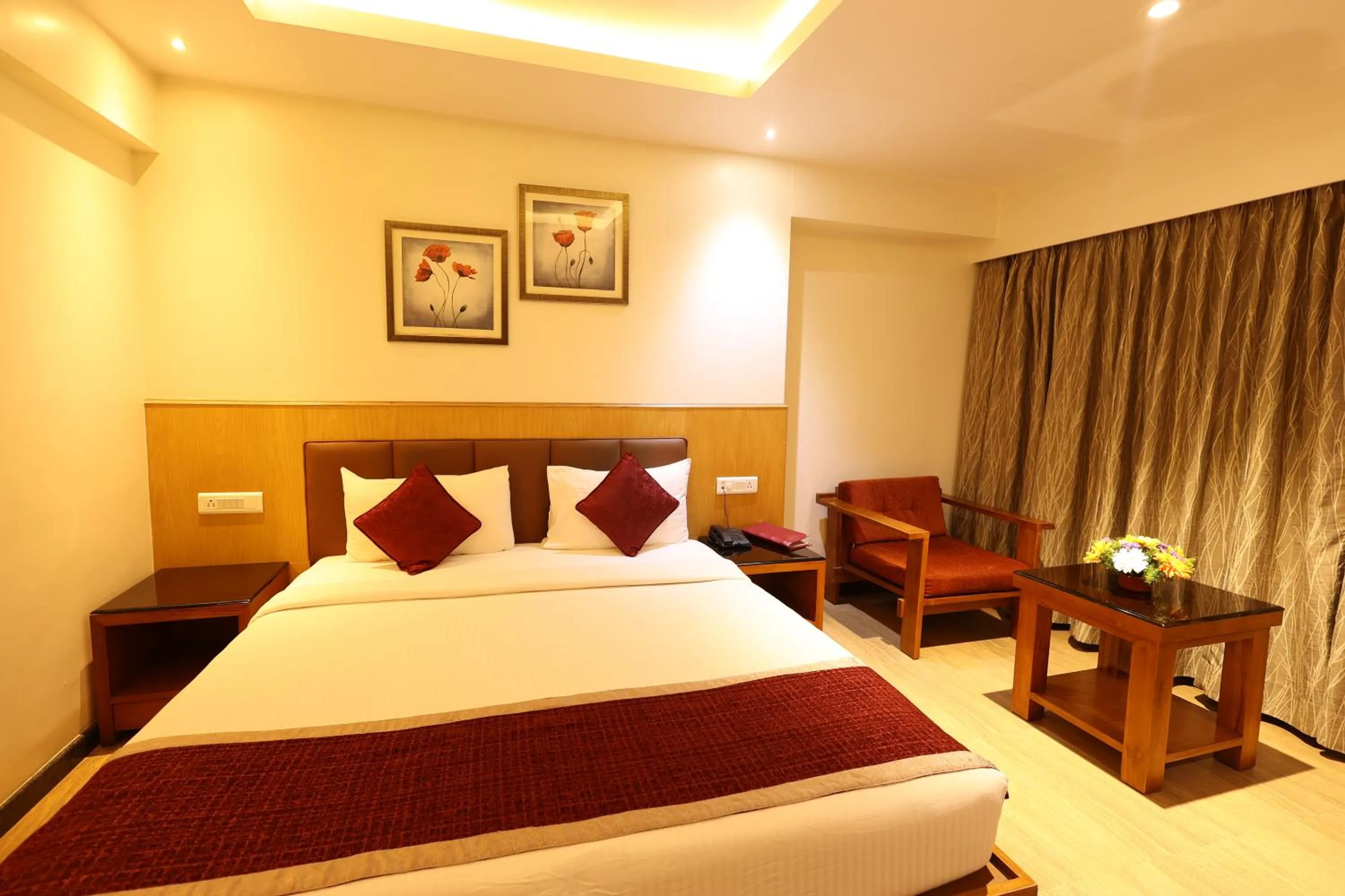 Executive Double Room in Akash Inn