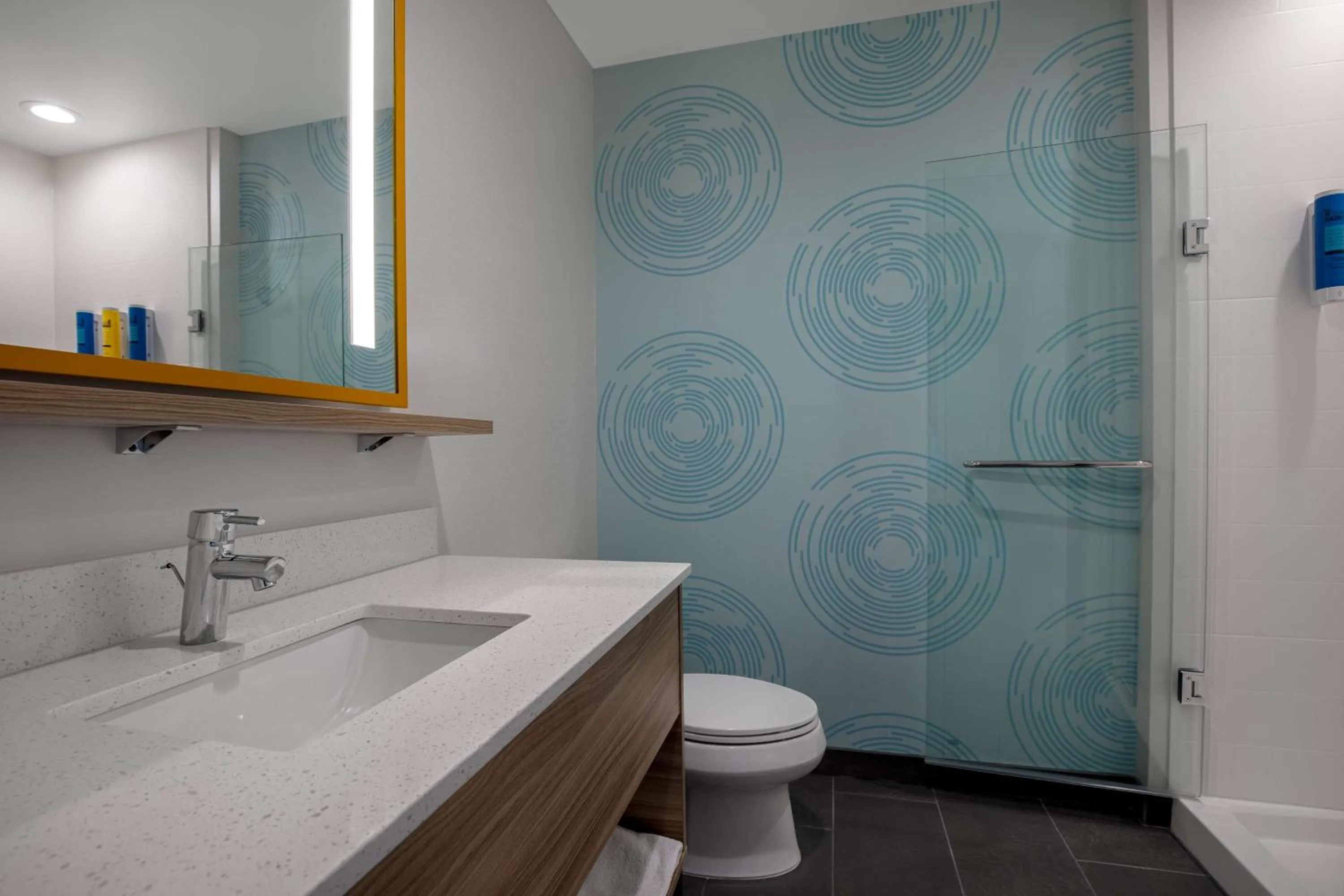 King Room - Hearing Access in Tru By Hilton Anderson