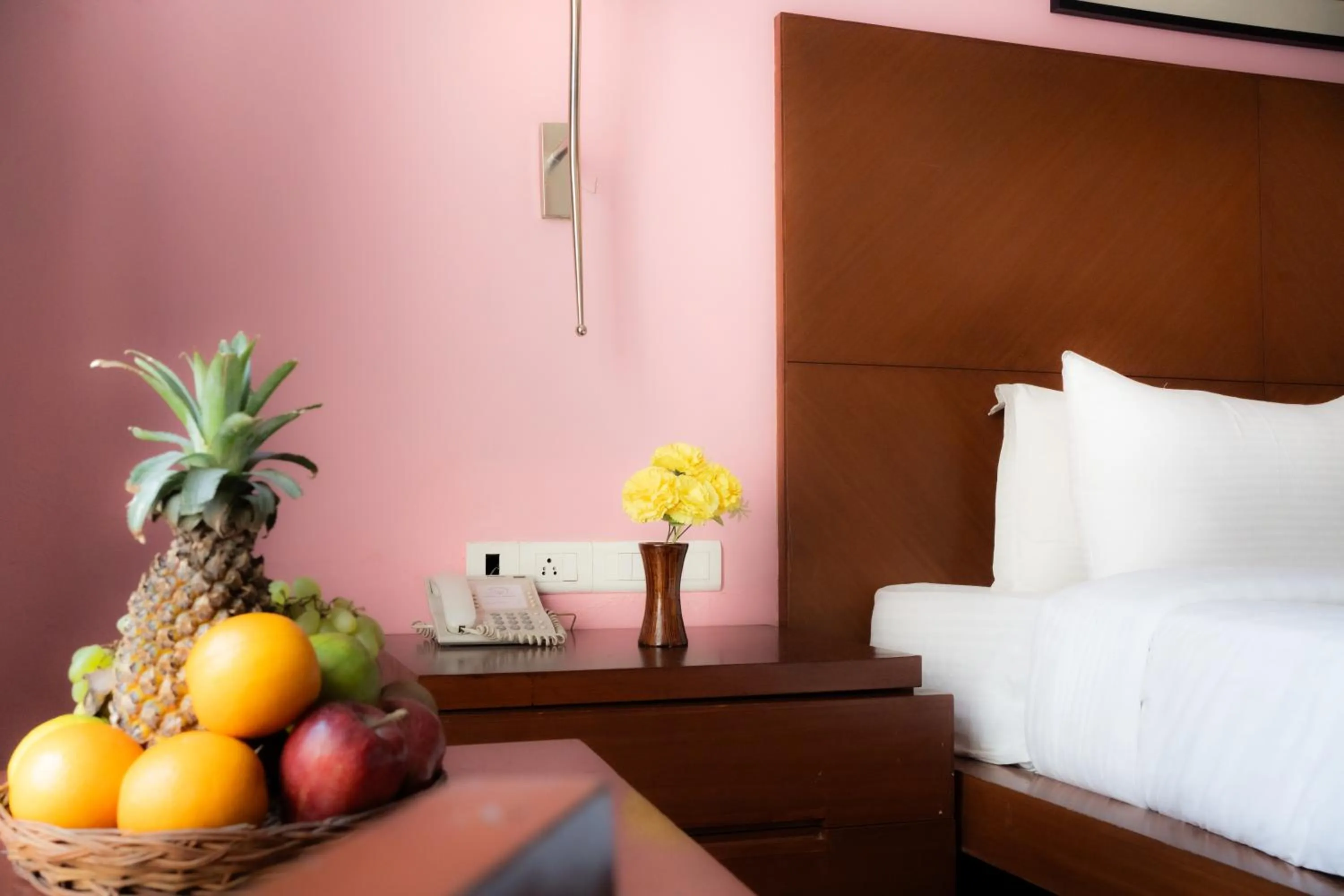 Deluxe Double Room in The Sky Imperial, Jaipur