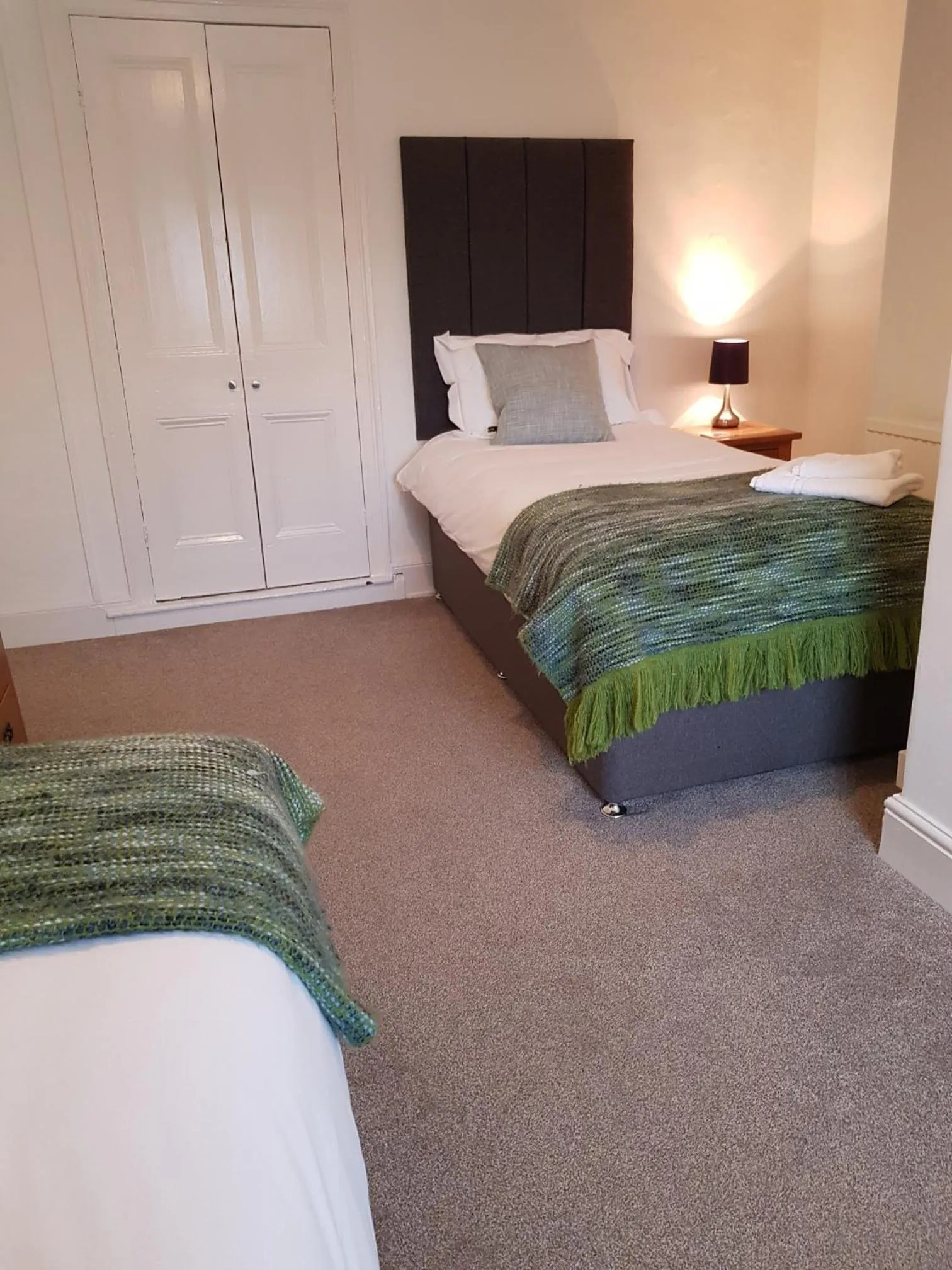 Basic Twin Room - single occupancy in Ty Helyg Guest House