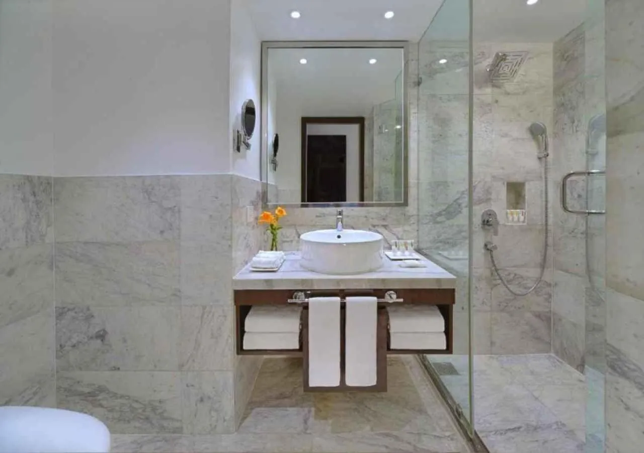 Executive Room - City View 50% discount on Spa (full body massage) between 11 am to 6 pm  in Radisson Hotel Agra