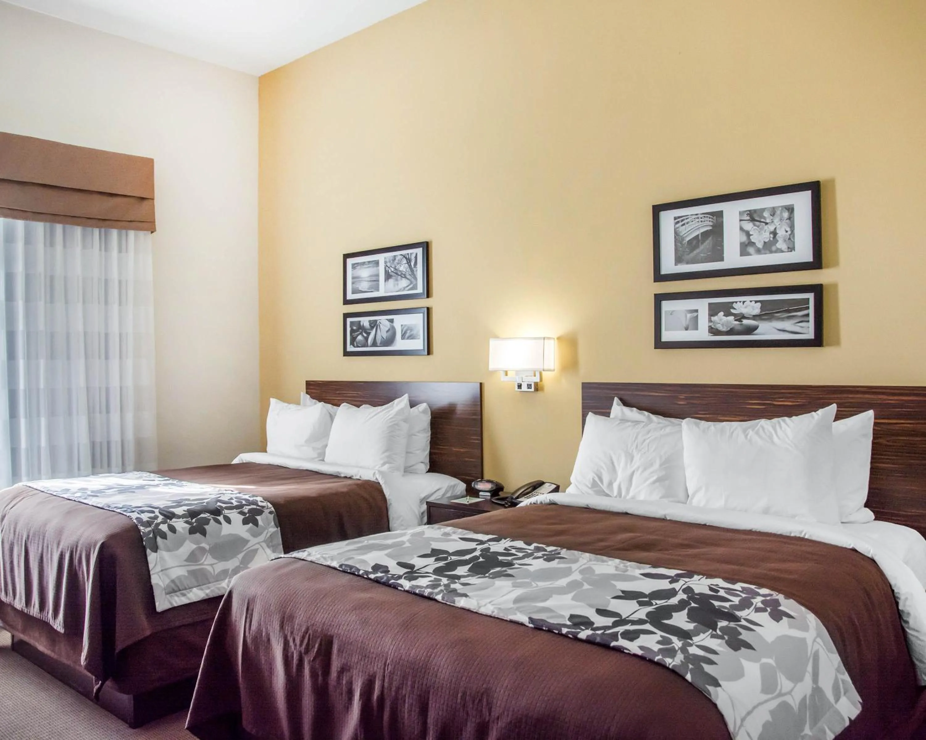 Queen Room with Two Queen Beds - Accessible/Non-Smoking  in Sleep Inn & Suites Parkersburg - Marietta