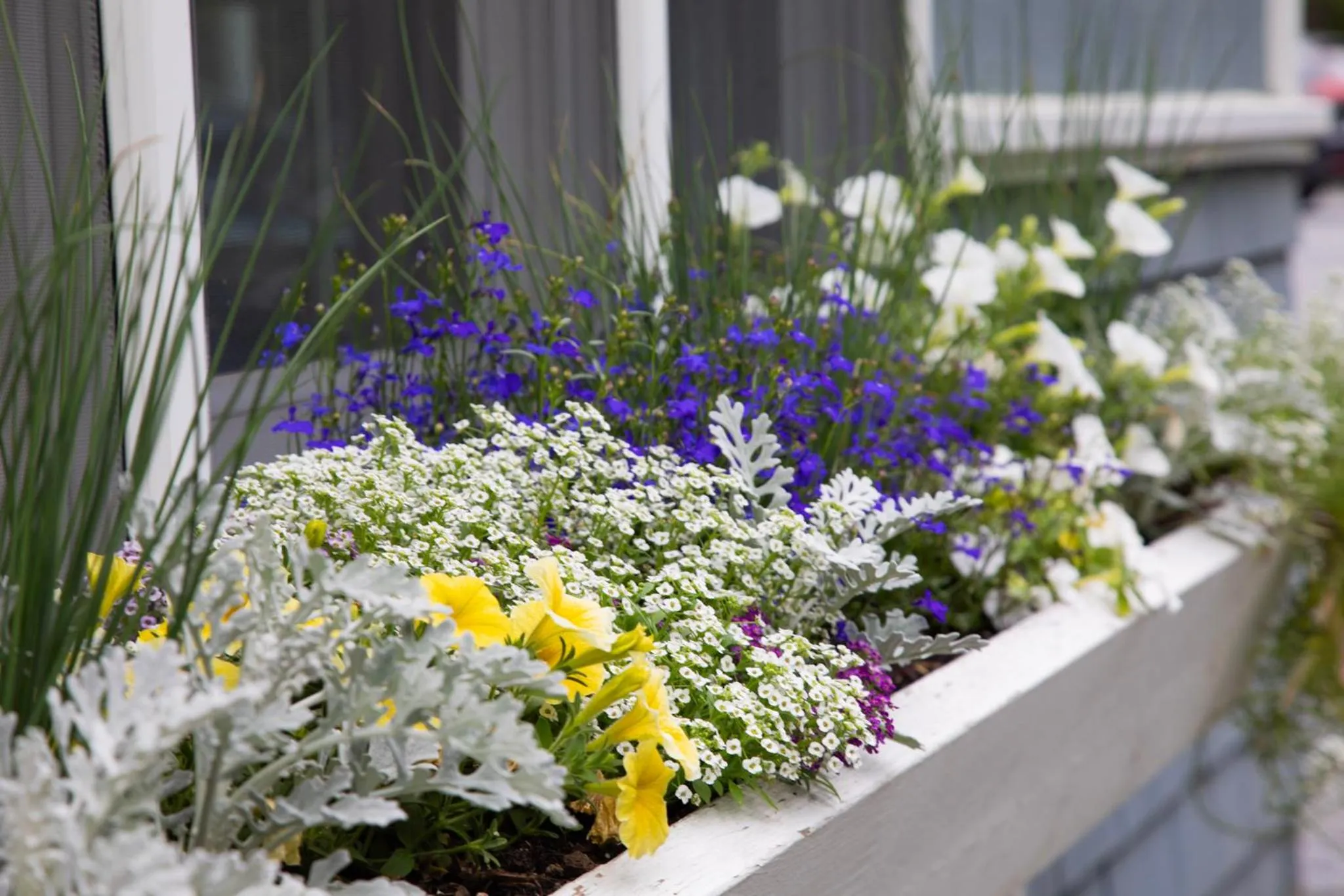 Standard Queen in The Shire Woodstock