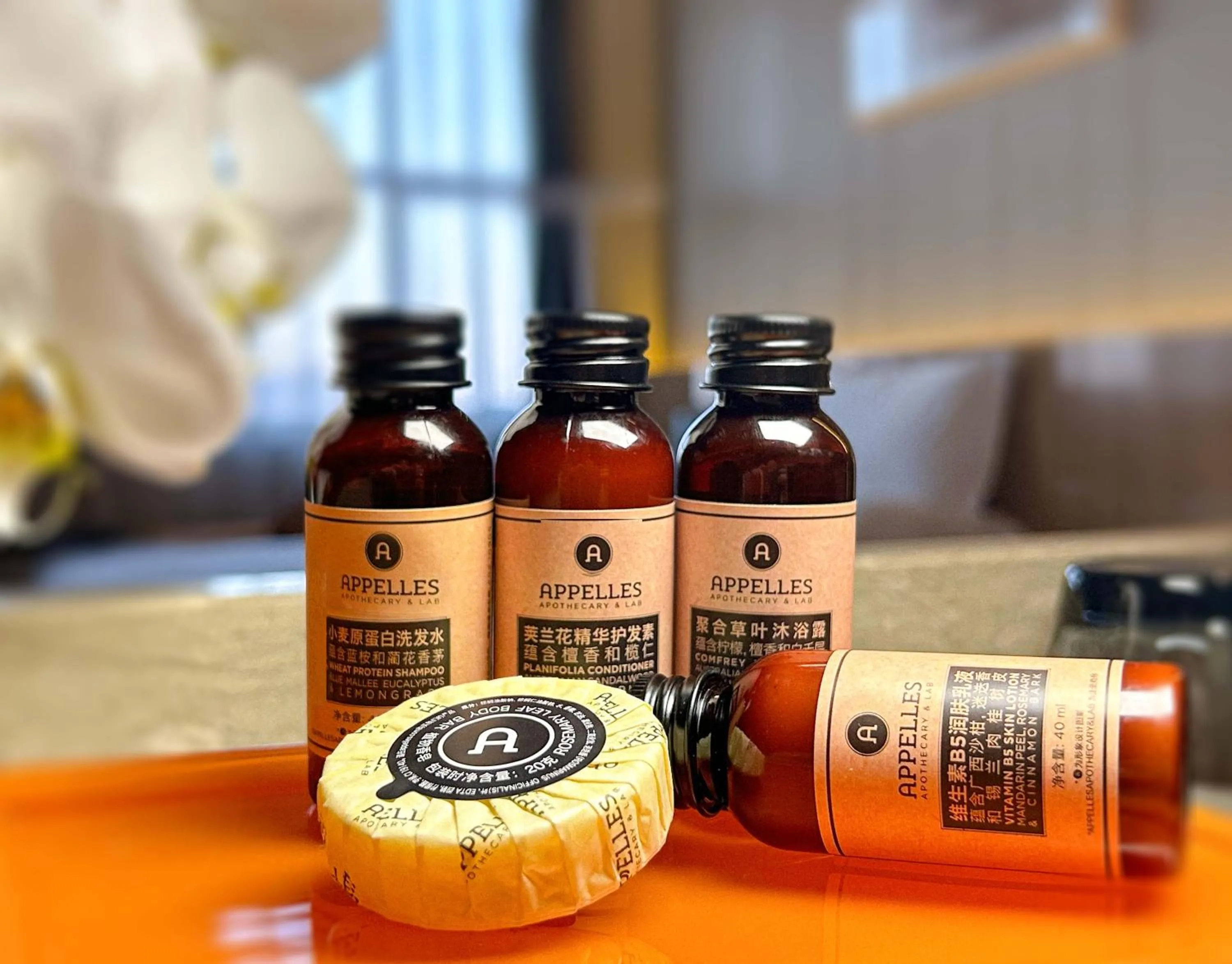 Business Double Room (with 2 breakfast) in Yinchuan Xifujing Hotel